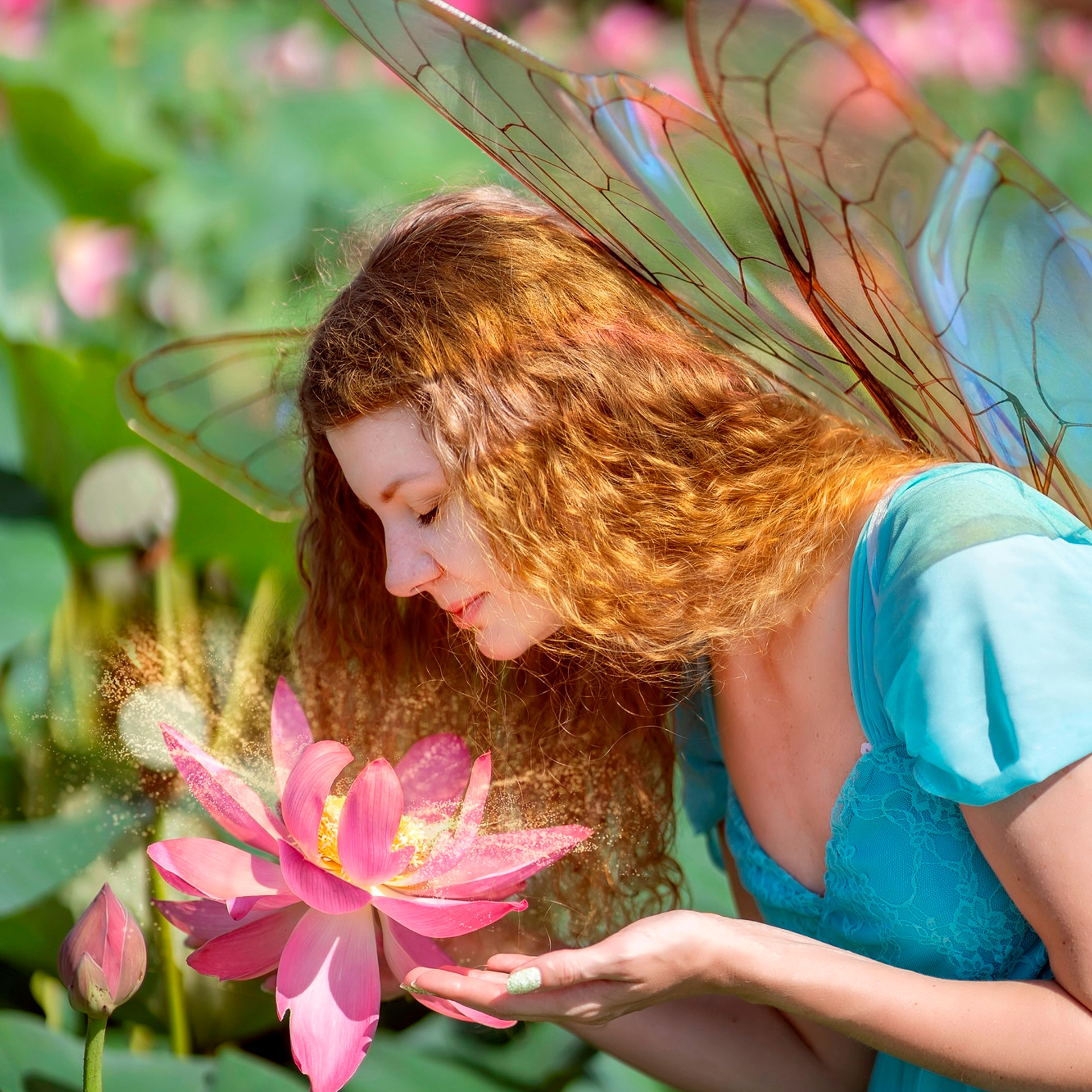 Фея в лотосах