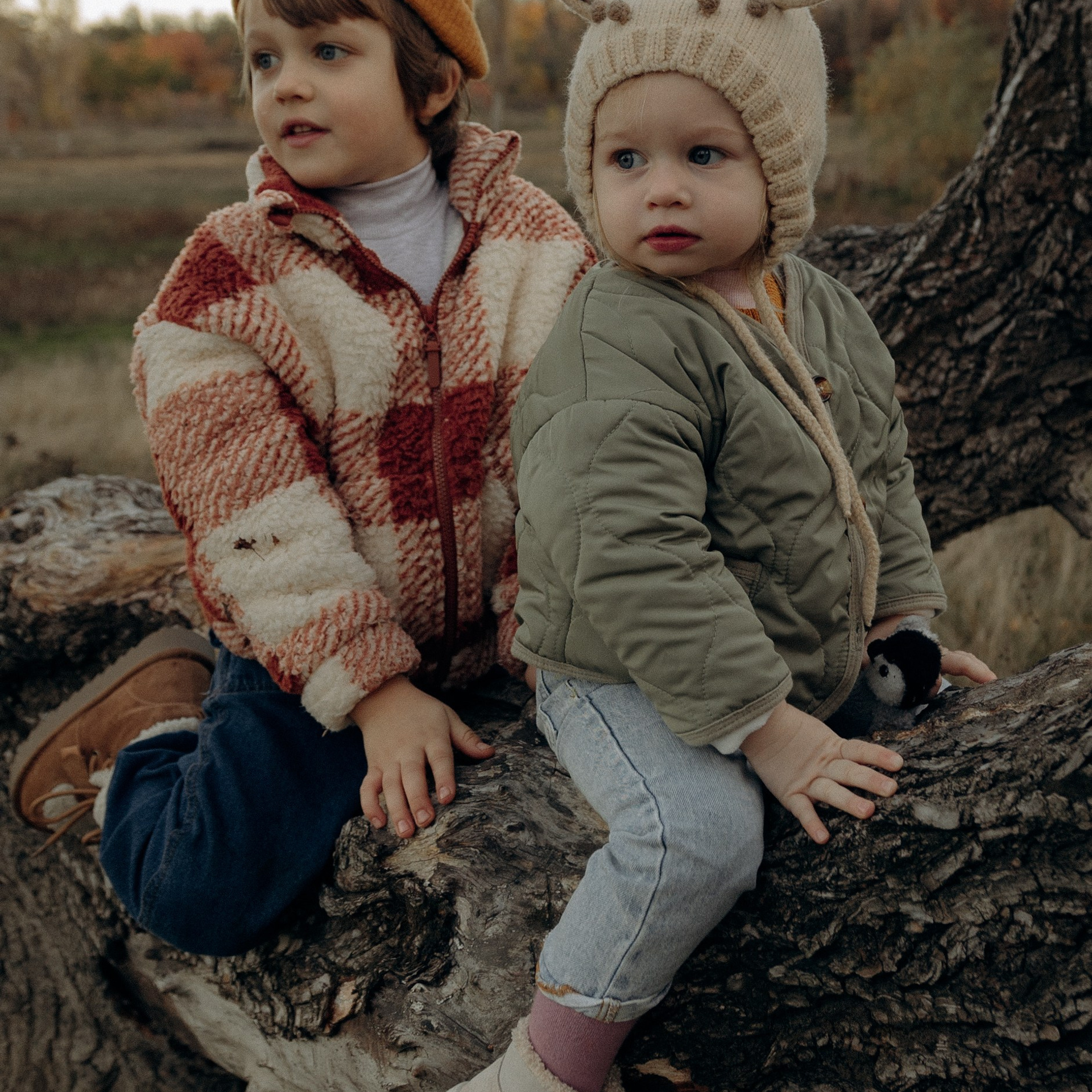 Отзывы. Условия и стоимость