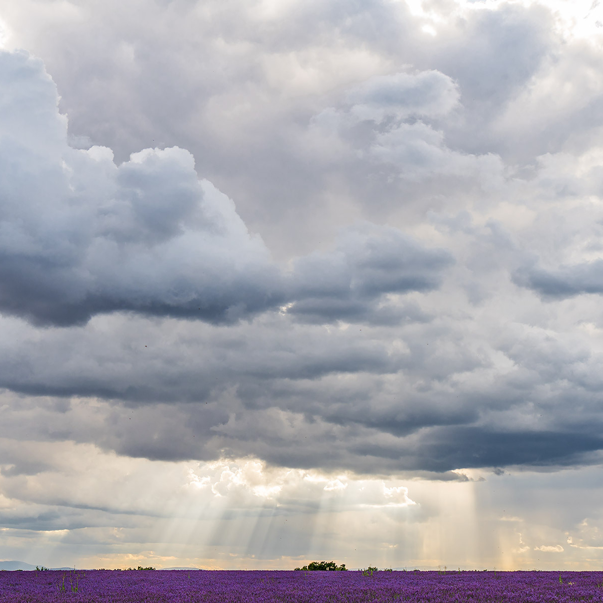 ⵙ Истории. Mike Tanner