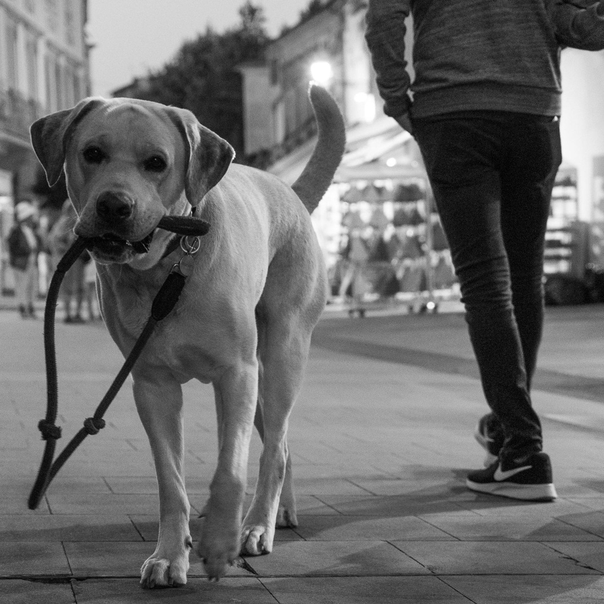 ⵙ Истории. Mike Tanner