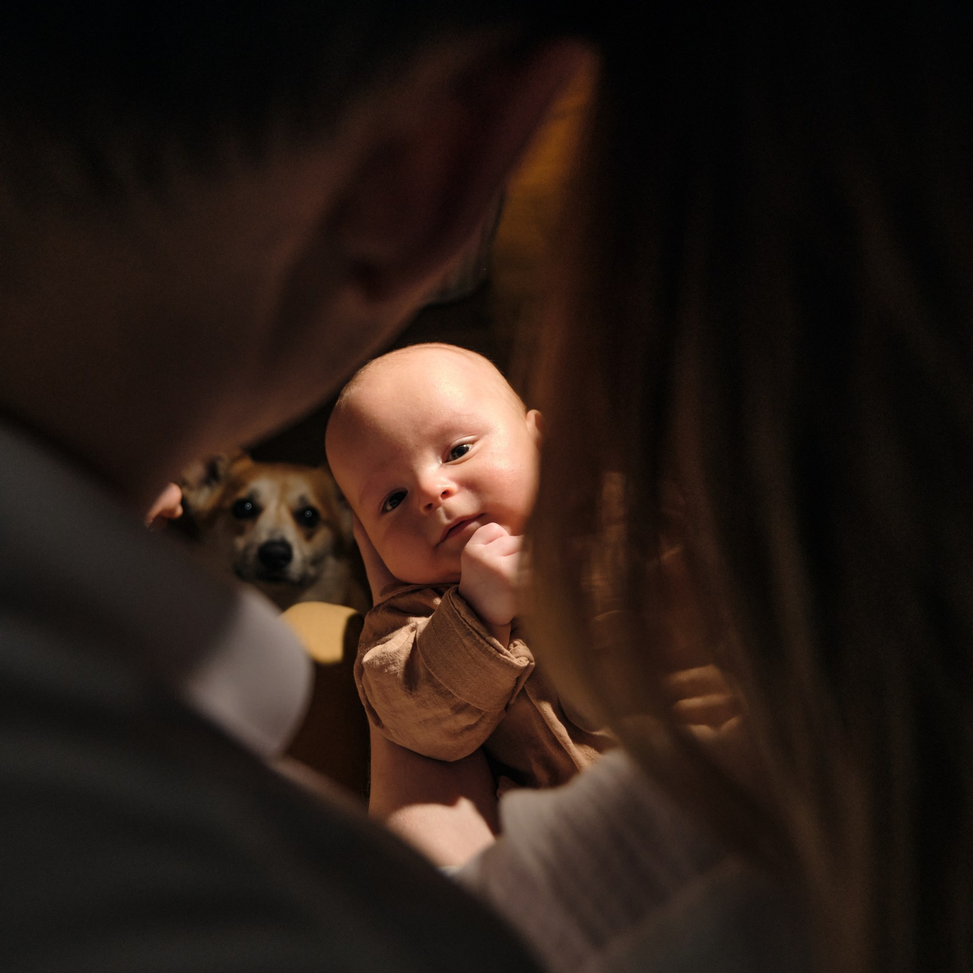 Семейные альбом. Фотограф в Москве — Галунина Кристина