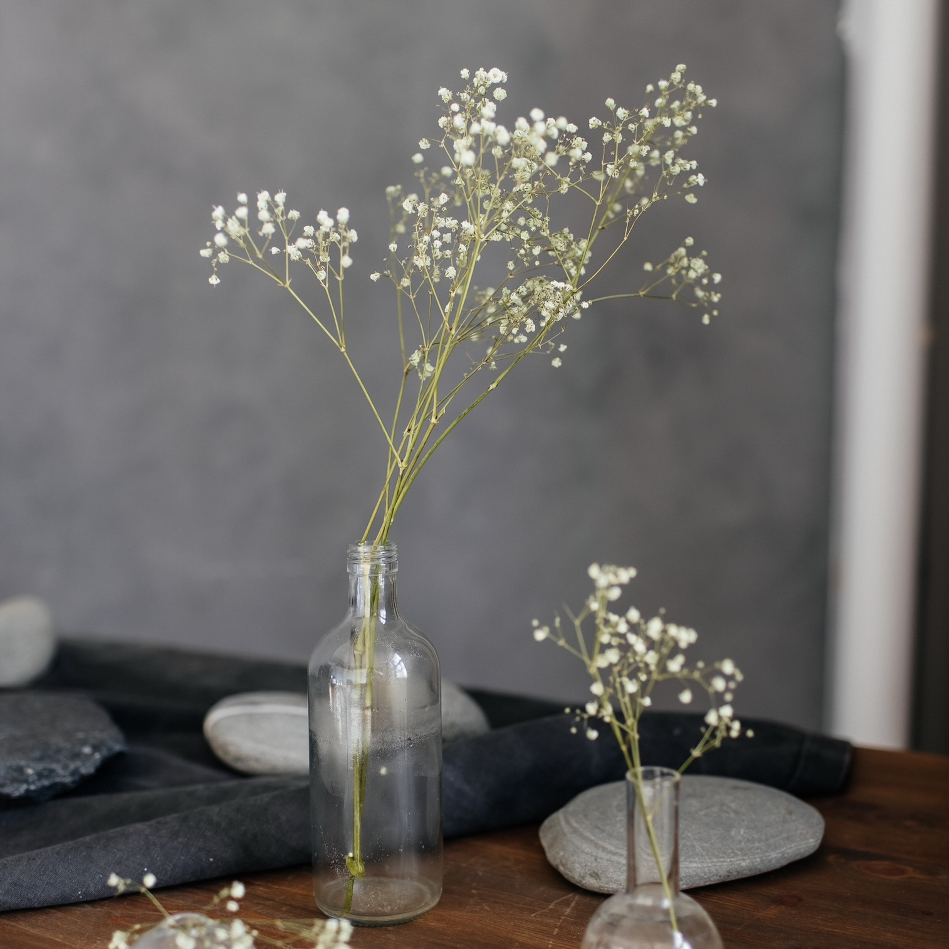 Дача, зал Natura