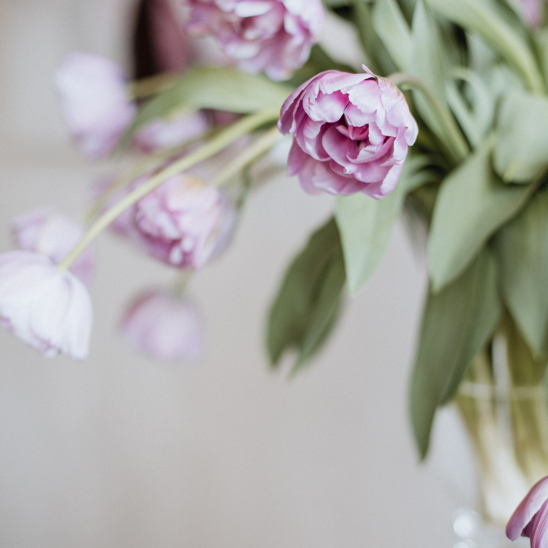 Отзывы. Свадебный и портретный фотограф в Минске и по всему миру Ольга Нестер