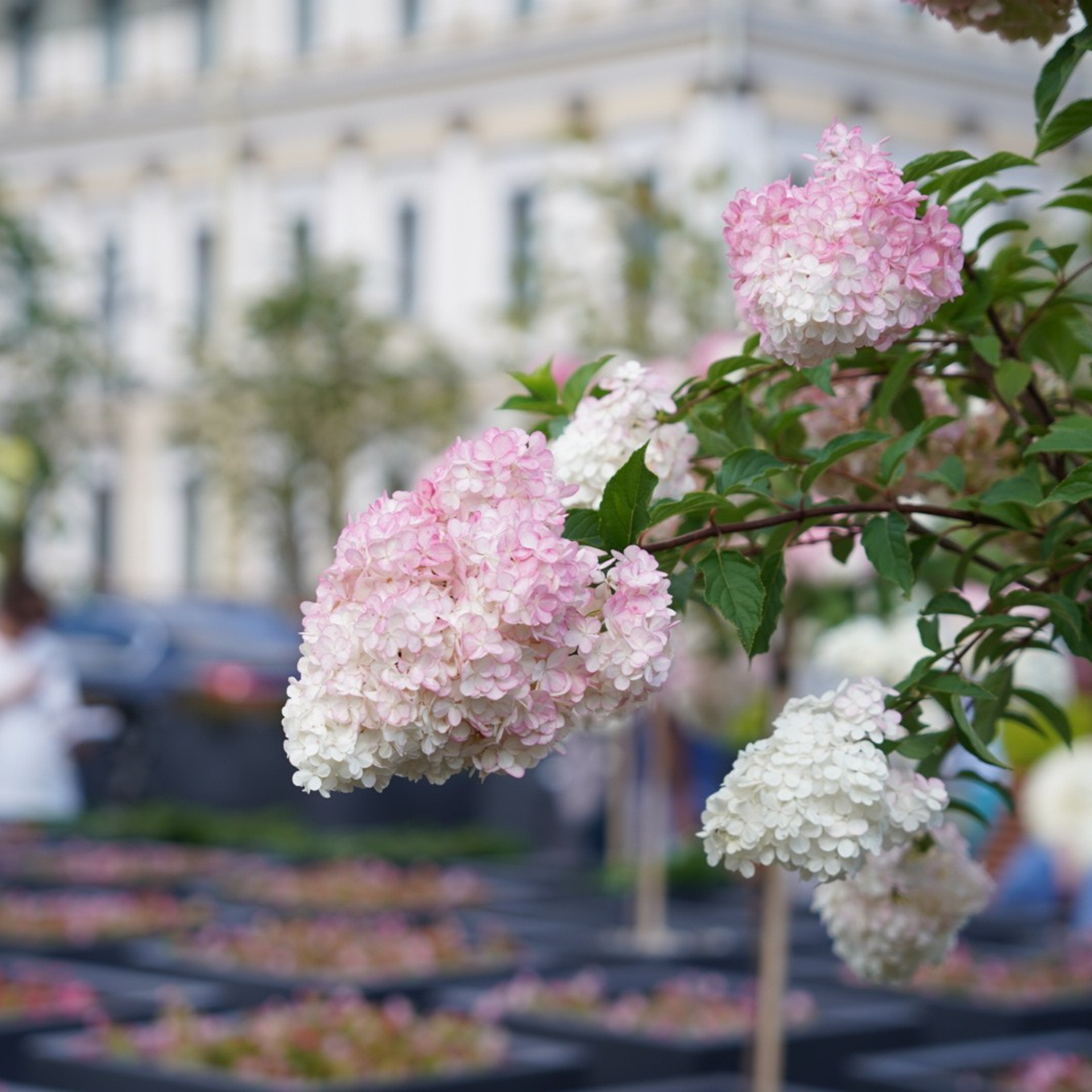 Репортажная съёмка. Анастасия Тюкова — фотограф в Санкт-Петербурге