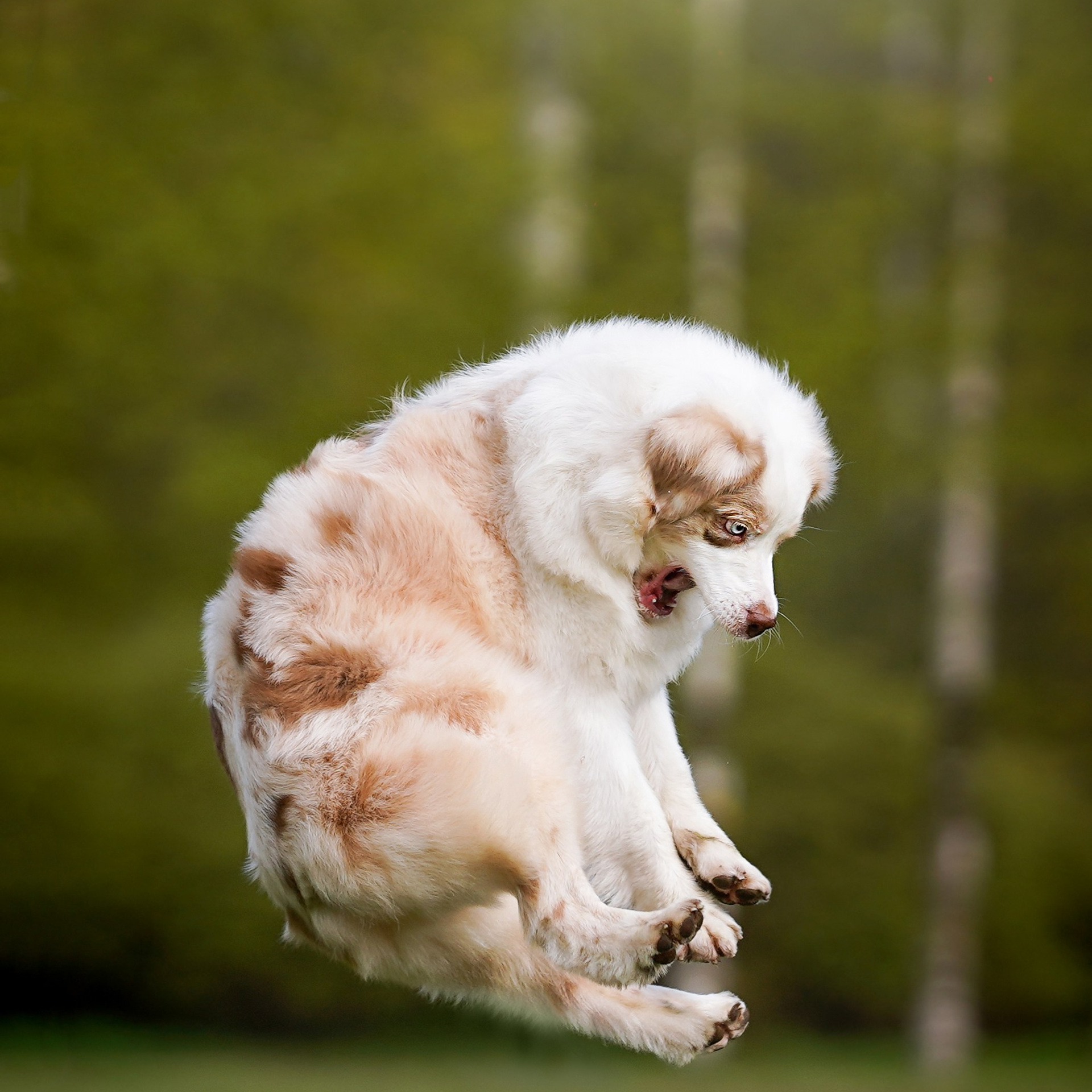 Рокки и Гермиона