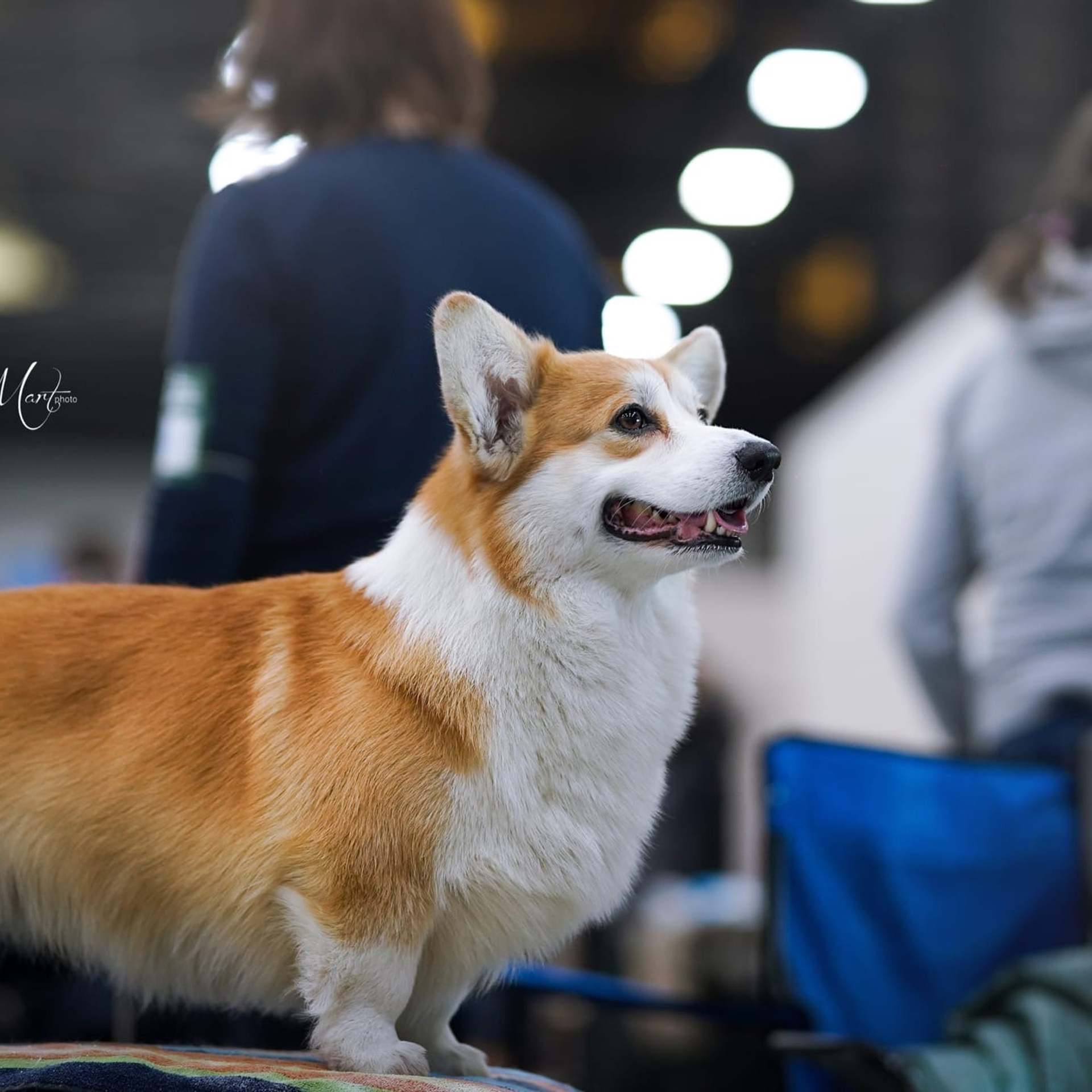 Выставки 2022