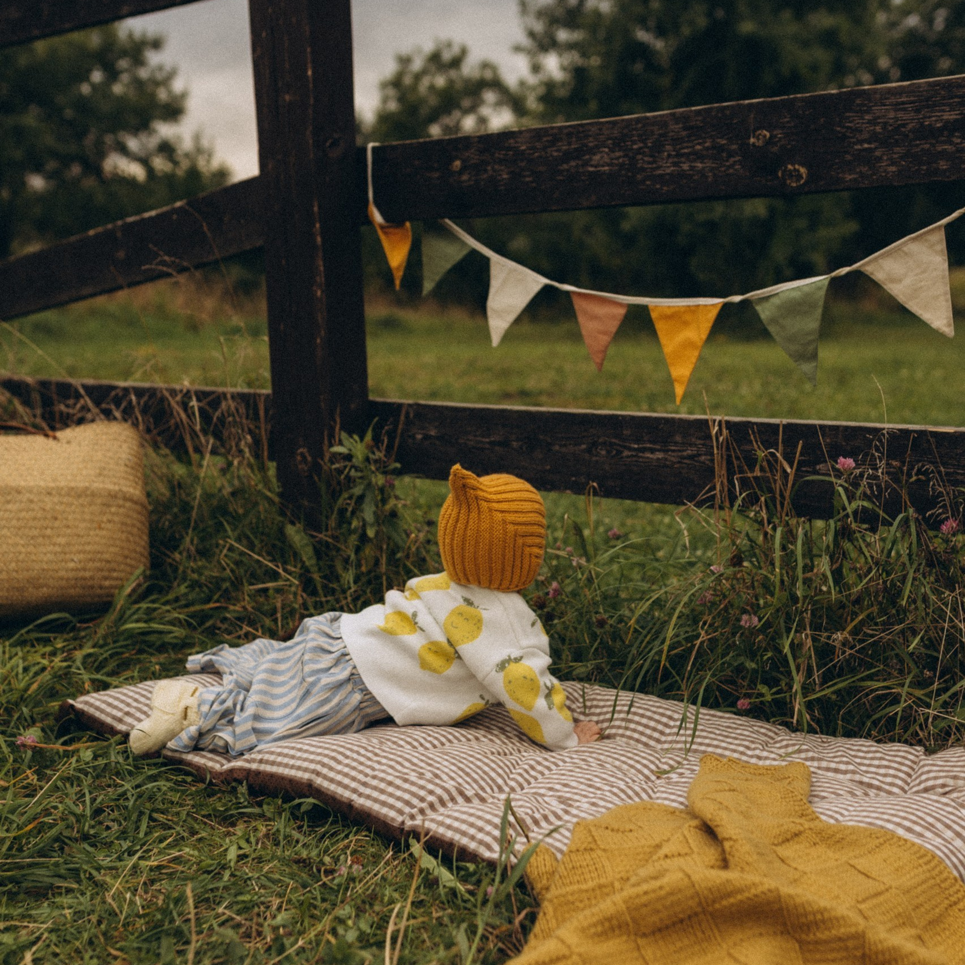 Лимончик 🍋в парке Коломенском. Www.kazakovaphoto.ru