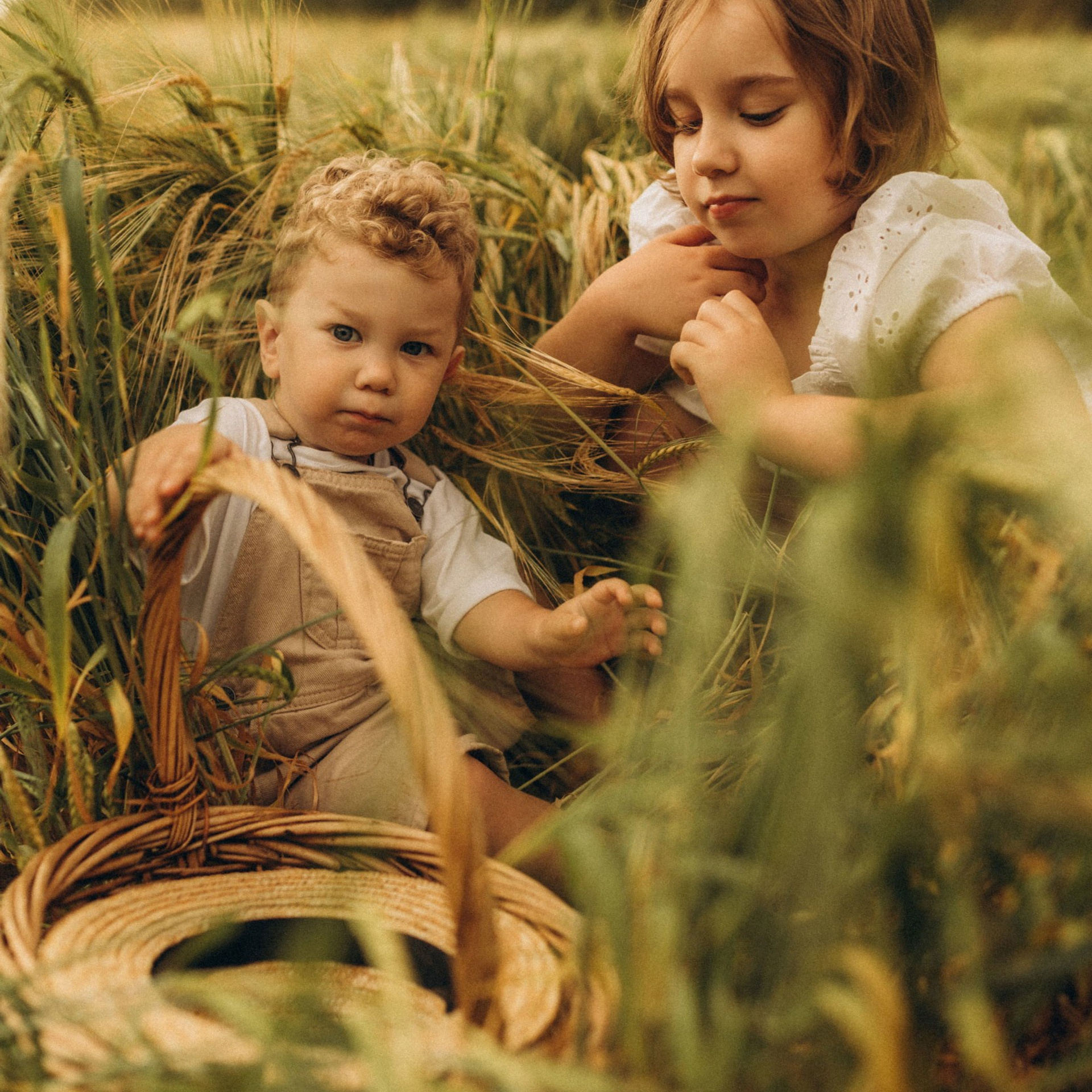 Дети Пшеницы. Www.kazakovaphoto.ru