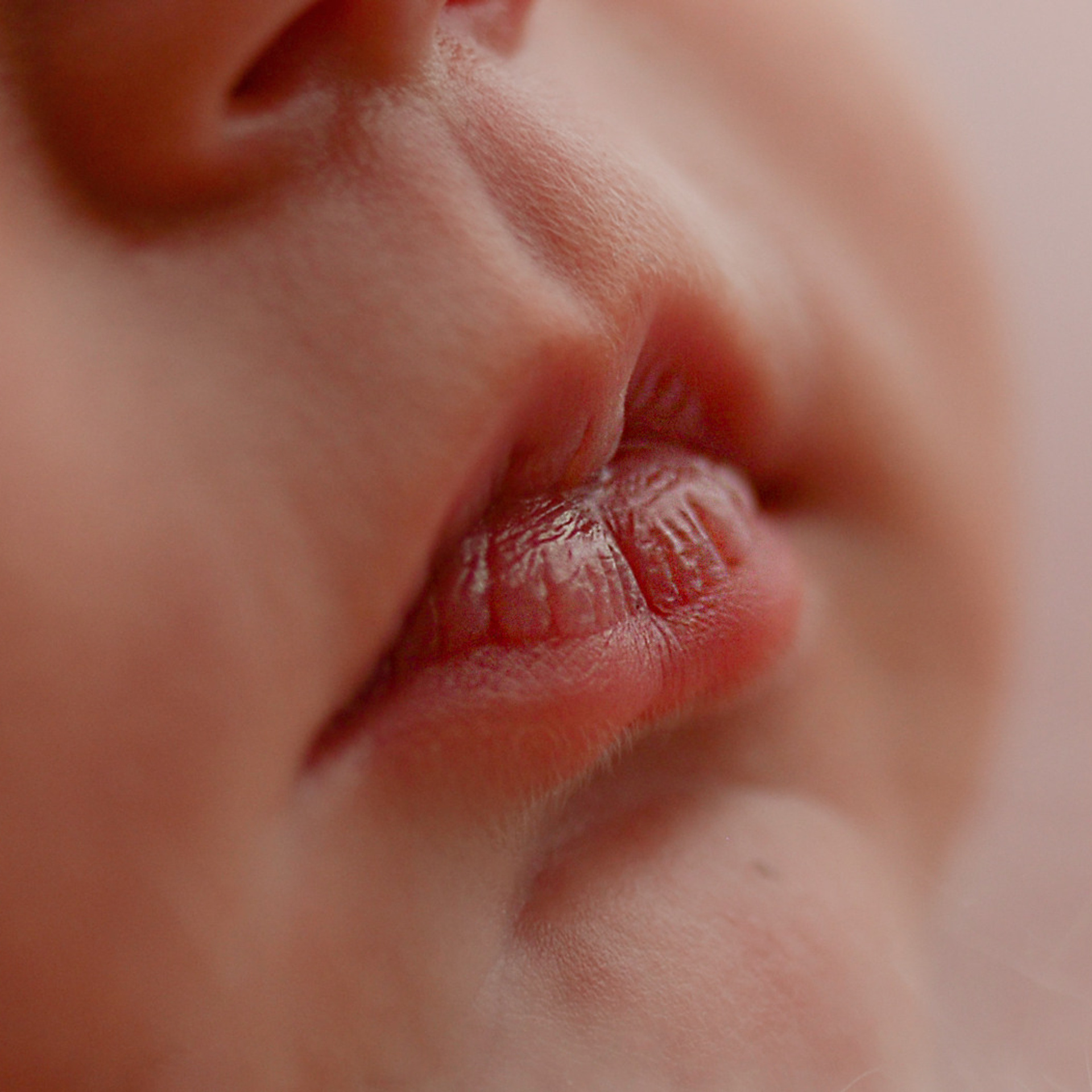 Условия и цены. Семейный фотограф в Москве Лилия Лебедева