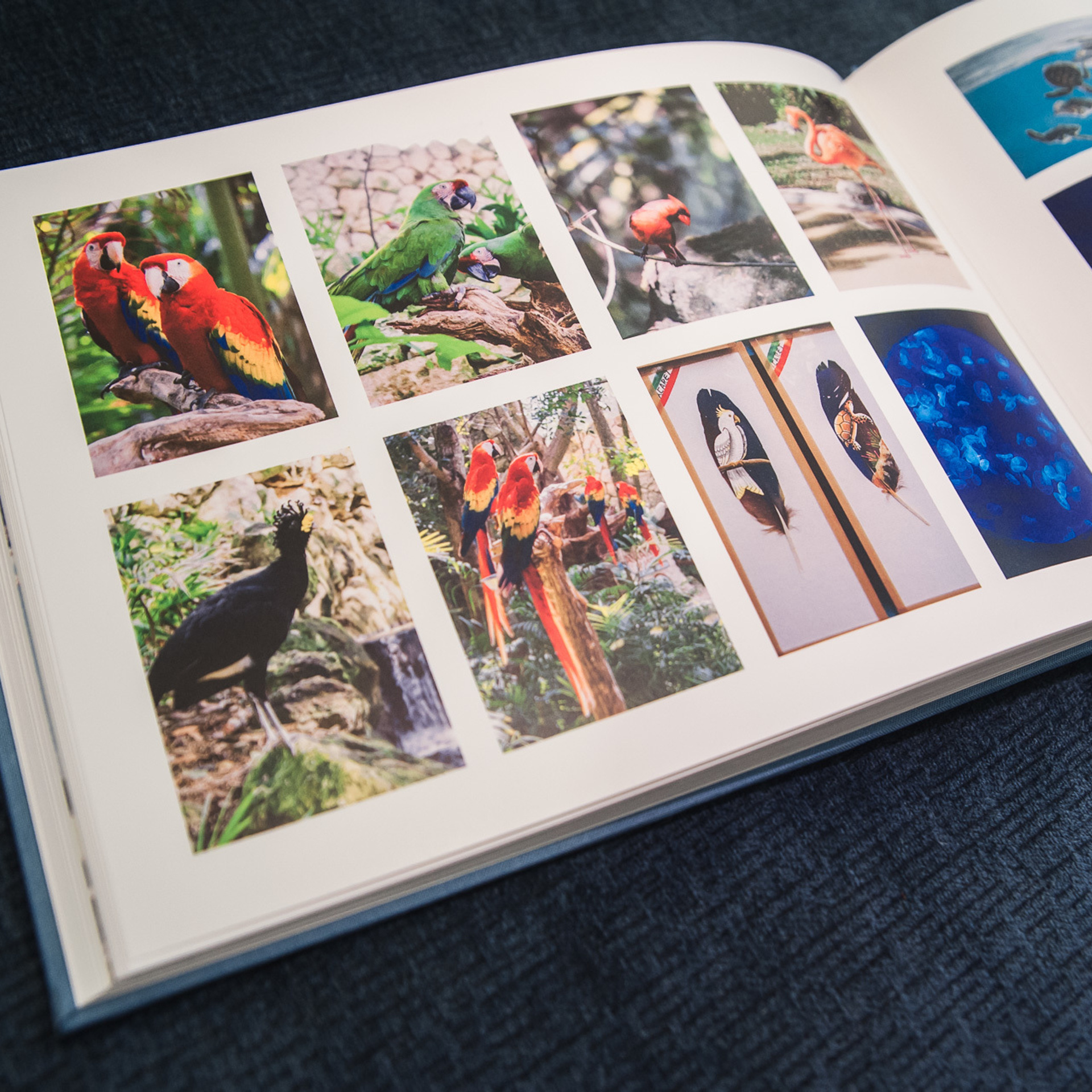 Путешествие на Кубу