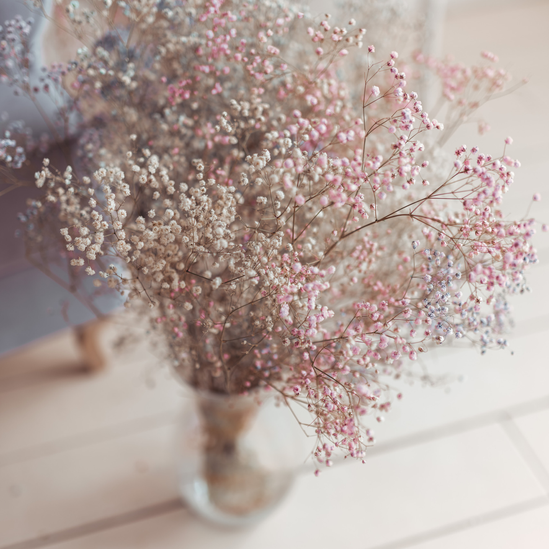 Отзывы. Семейный и женский фотограф в Крыму Олеся Вайло