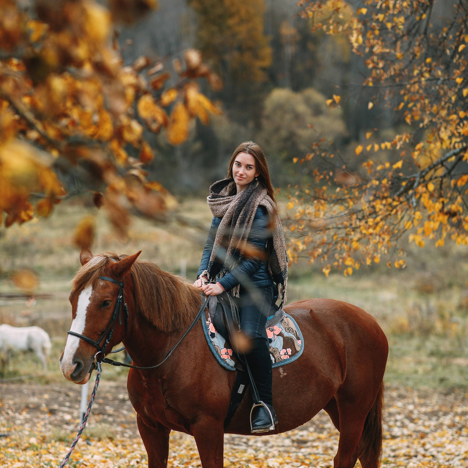 Конная прогулка