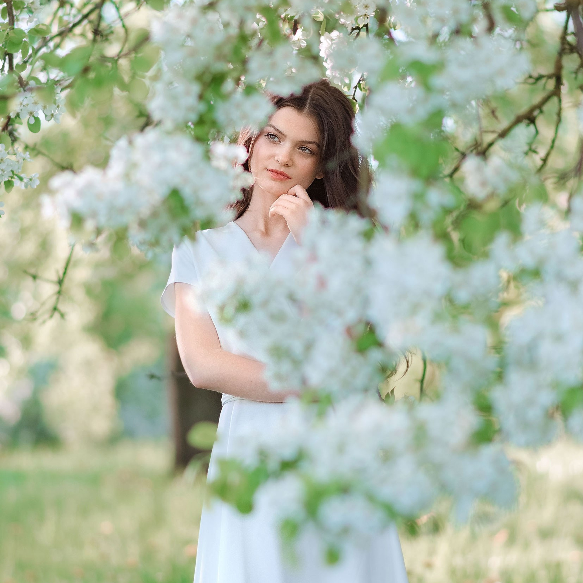 Анна Весеннее цветение