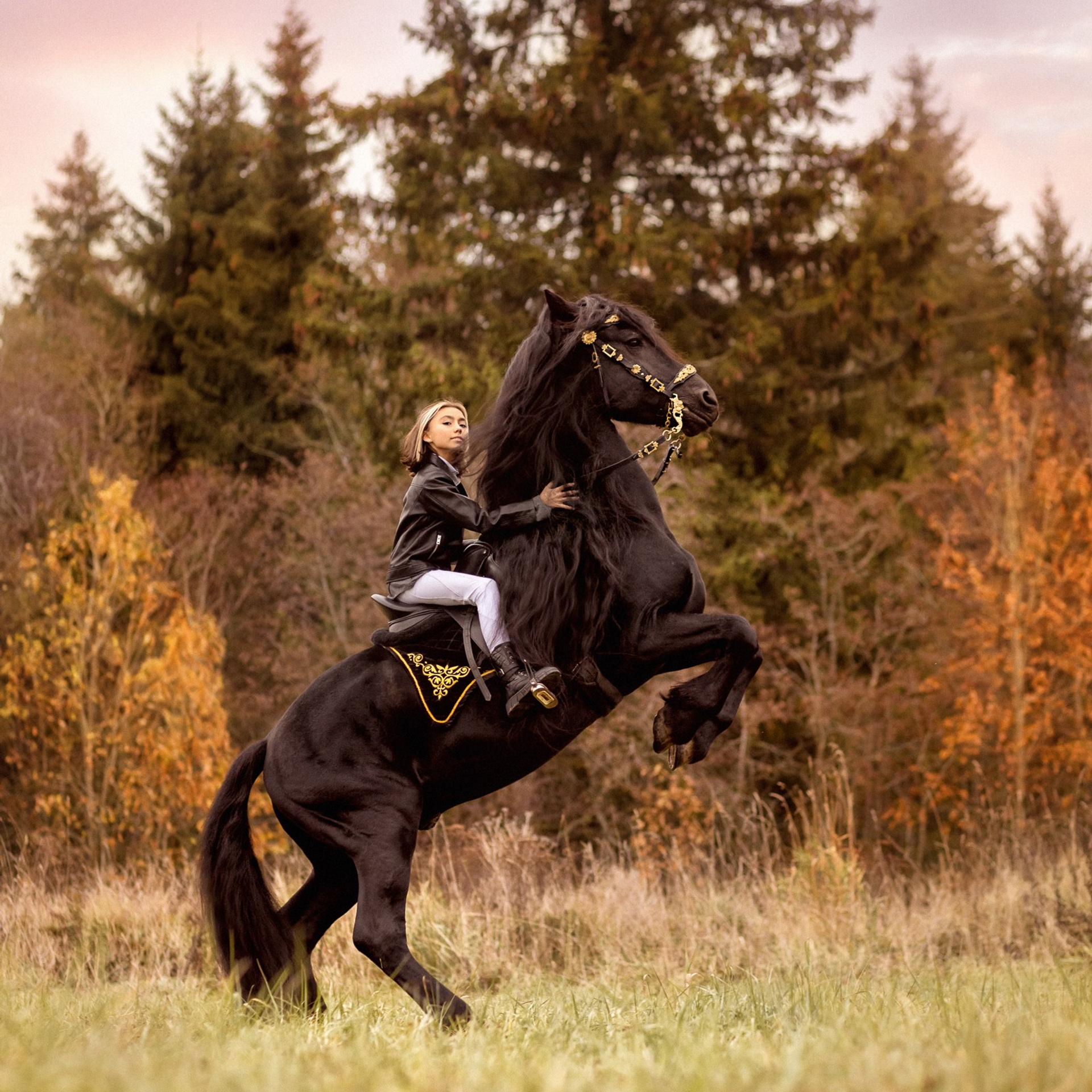 Вегер и Алена
