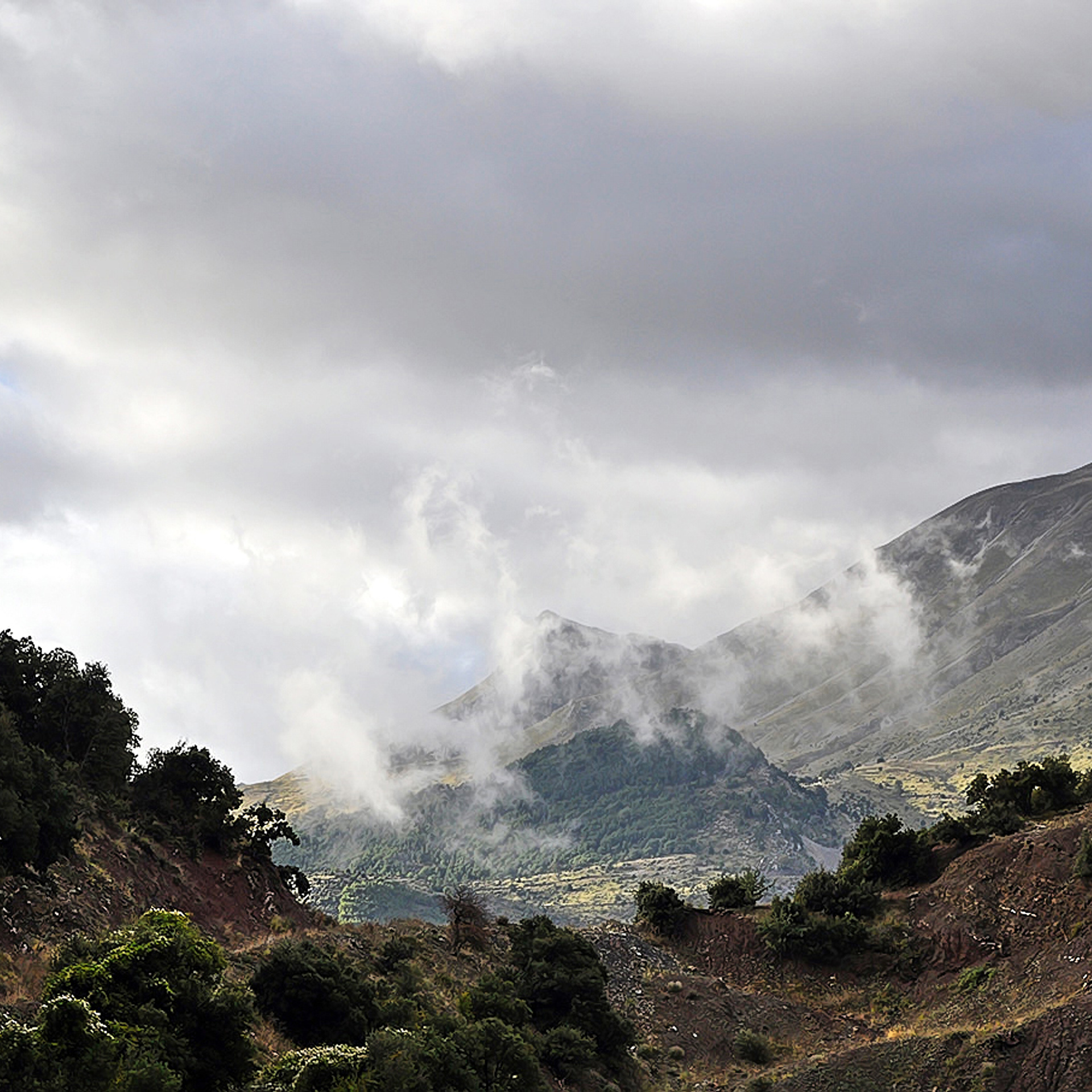 ПРИРОДА. ПЕЙЗАЖИ