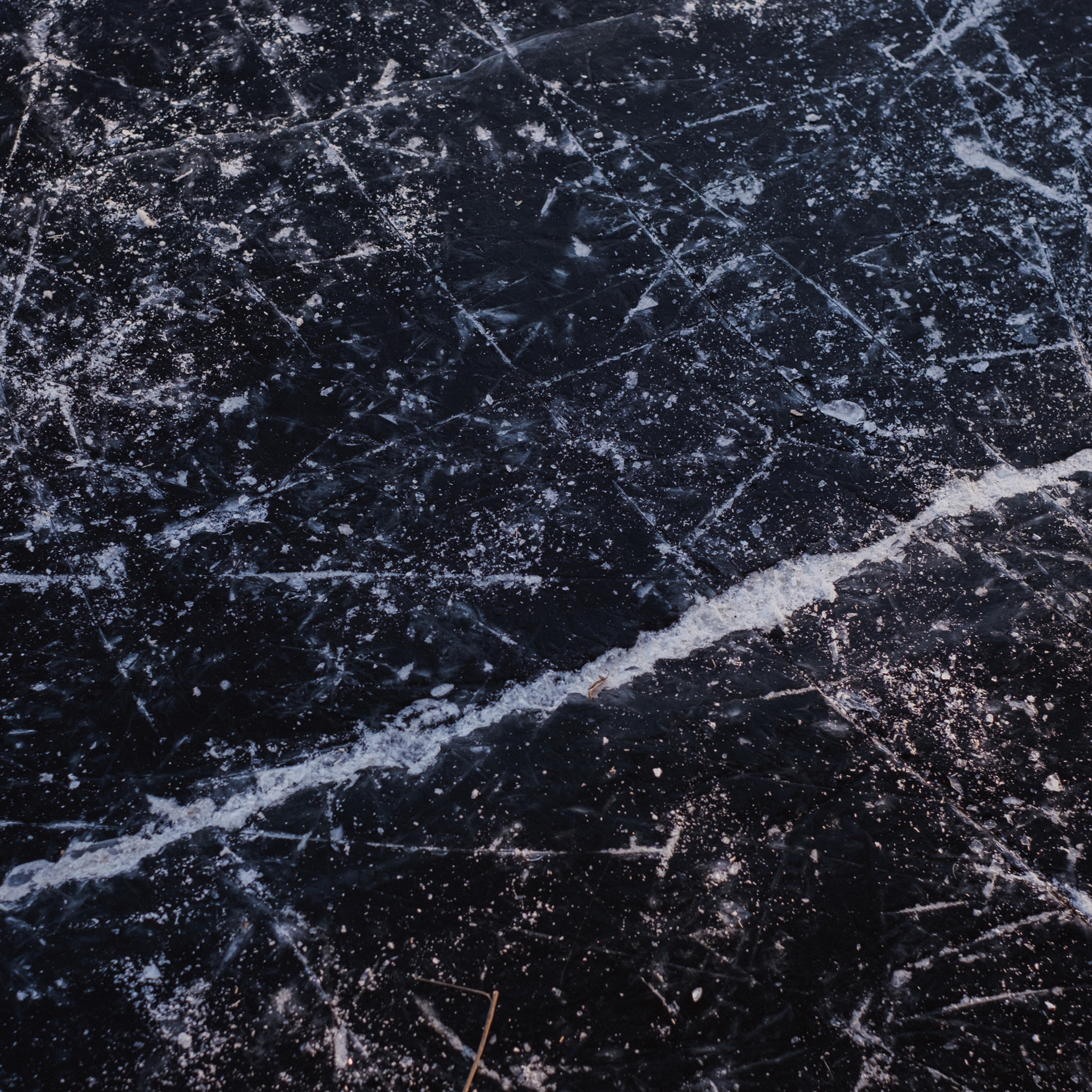 Отзывы. Свадебный и семейный фотограф г. Волгоград Биленко Ангелина