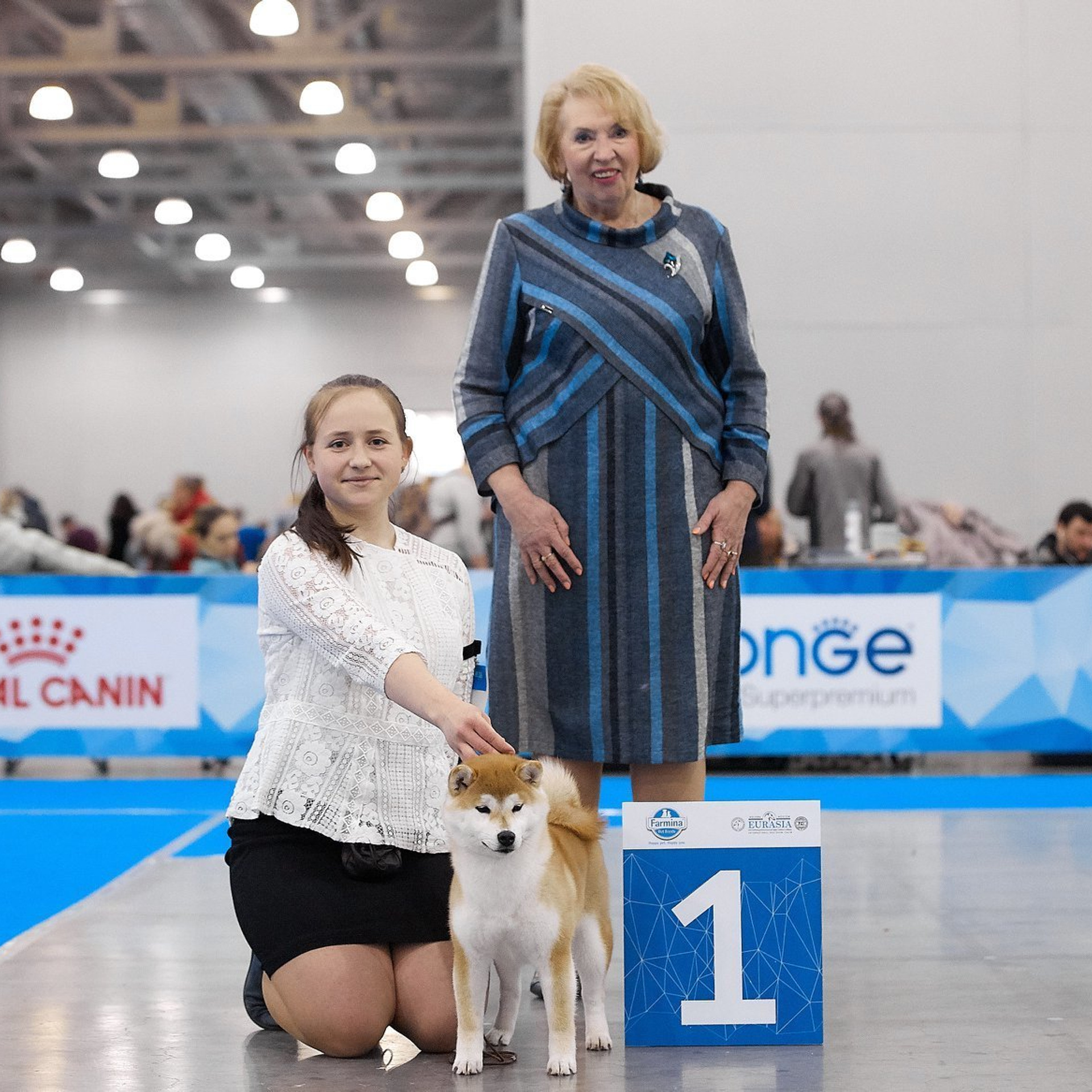 2019. SHIOMARU Shiba and Akita Inu Kennel