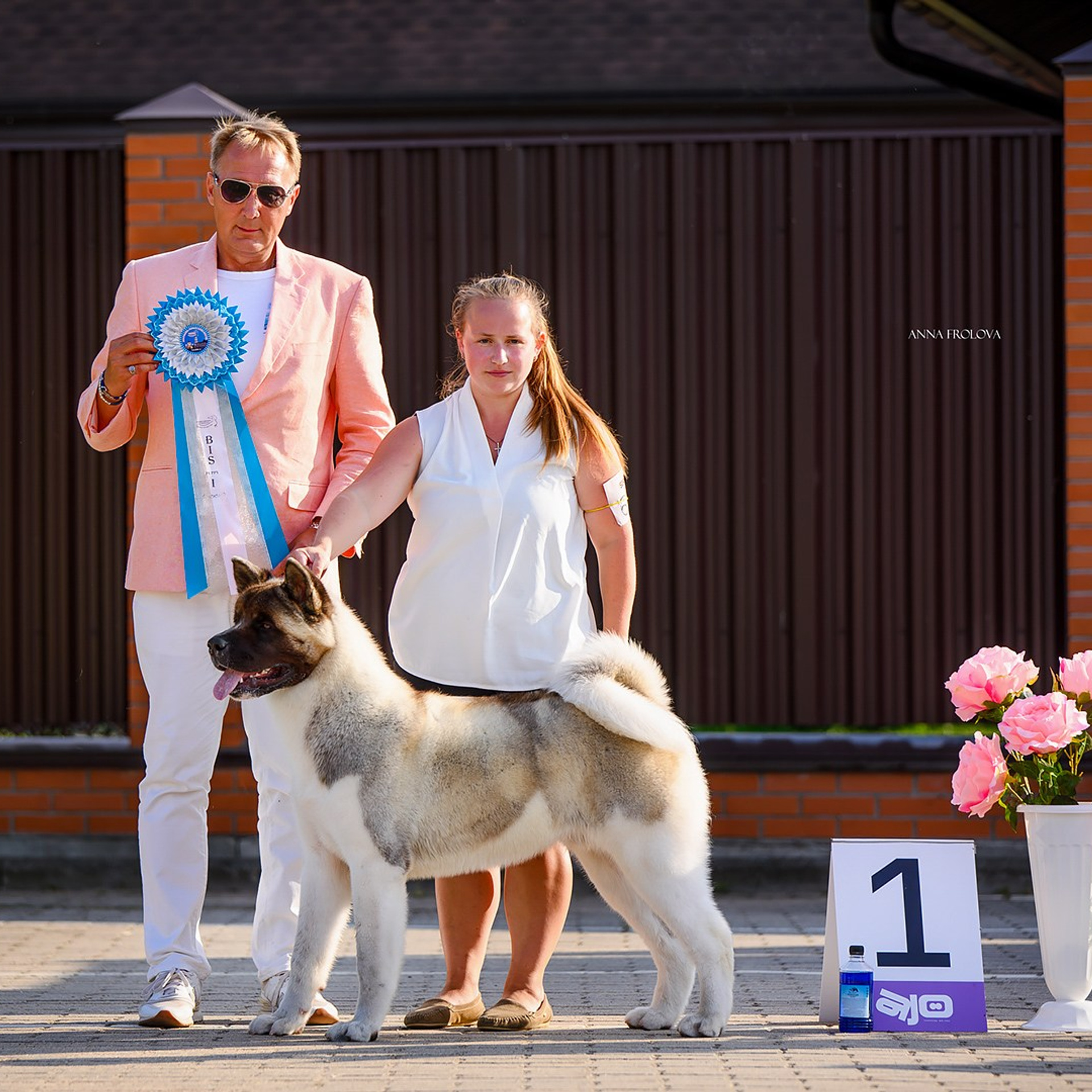 2024. SHIOMARU Shiba and Akita Inu Kennel