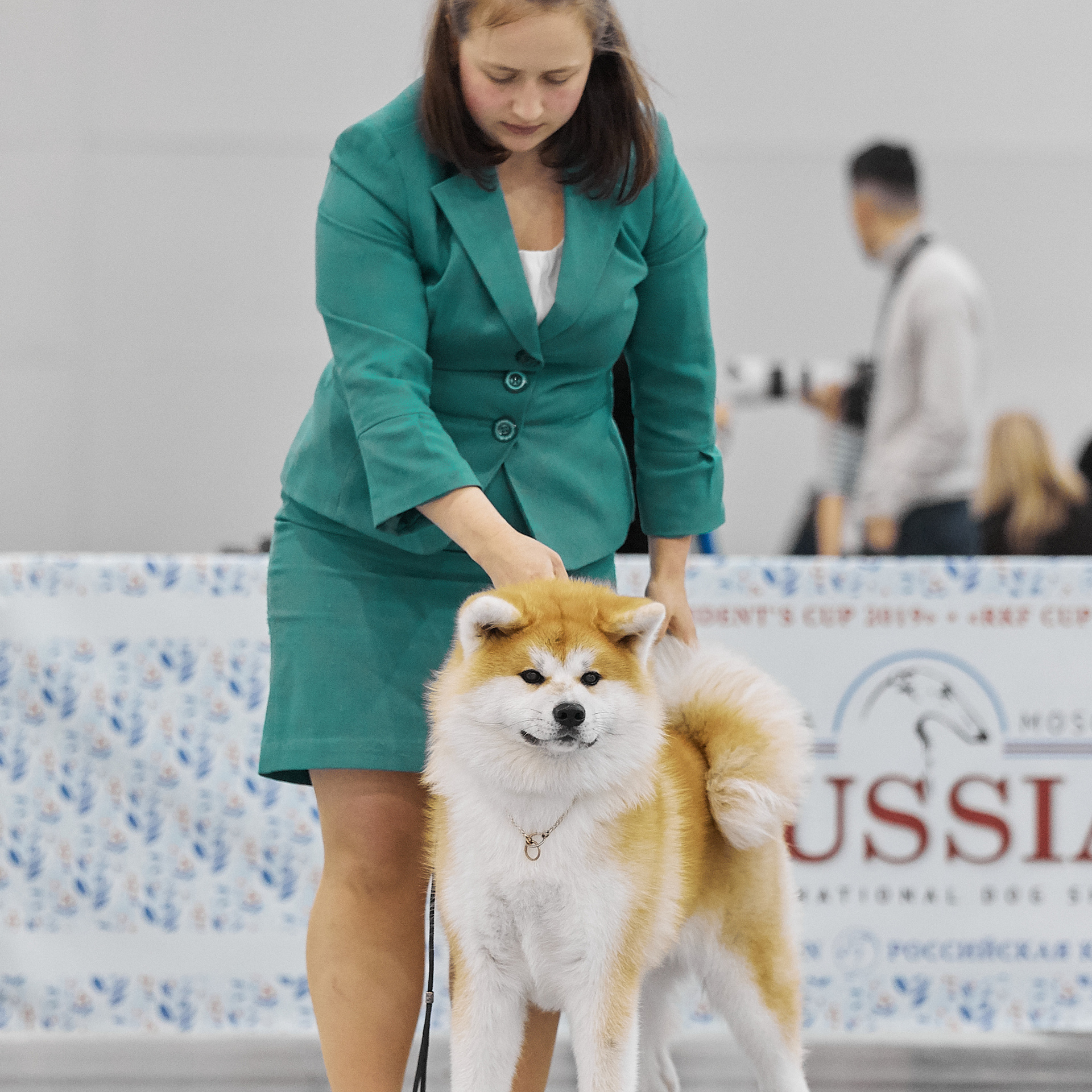 SAEMI GO TOKIMITSU. SHIOMARU Питомник сиба и акита-ину