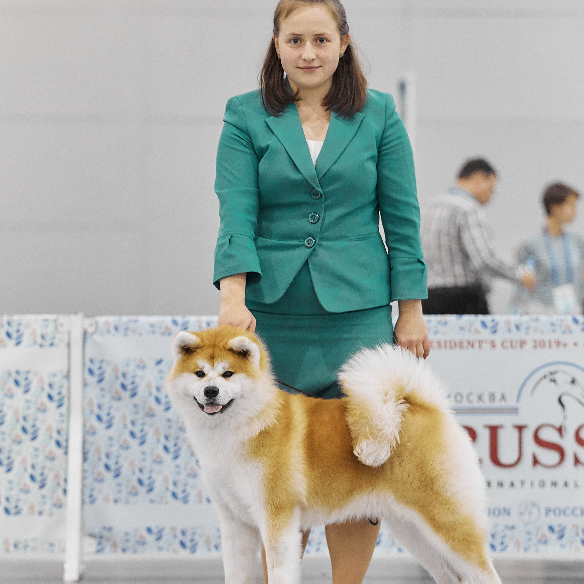 SAEMI GO TOKIMITSU. SHIOMARU Питомник сиба и акита-ину