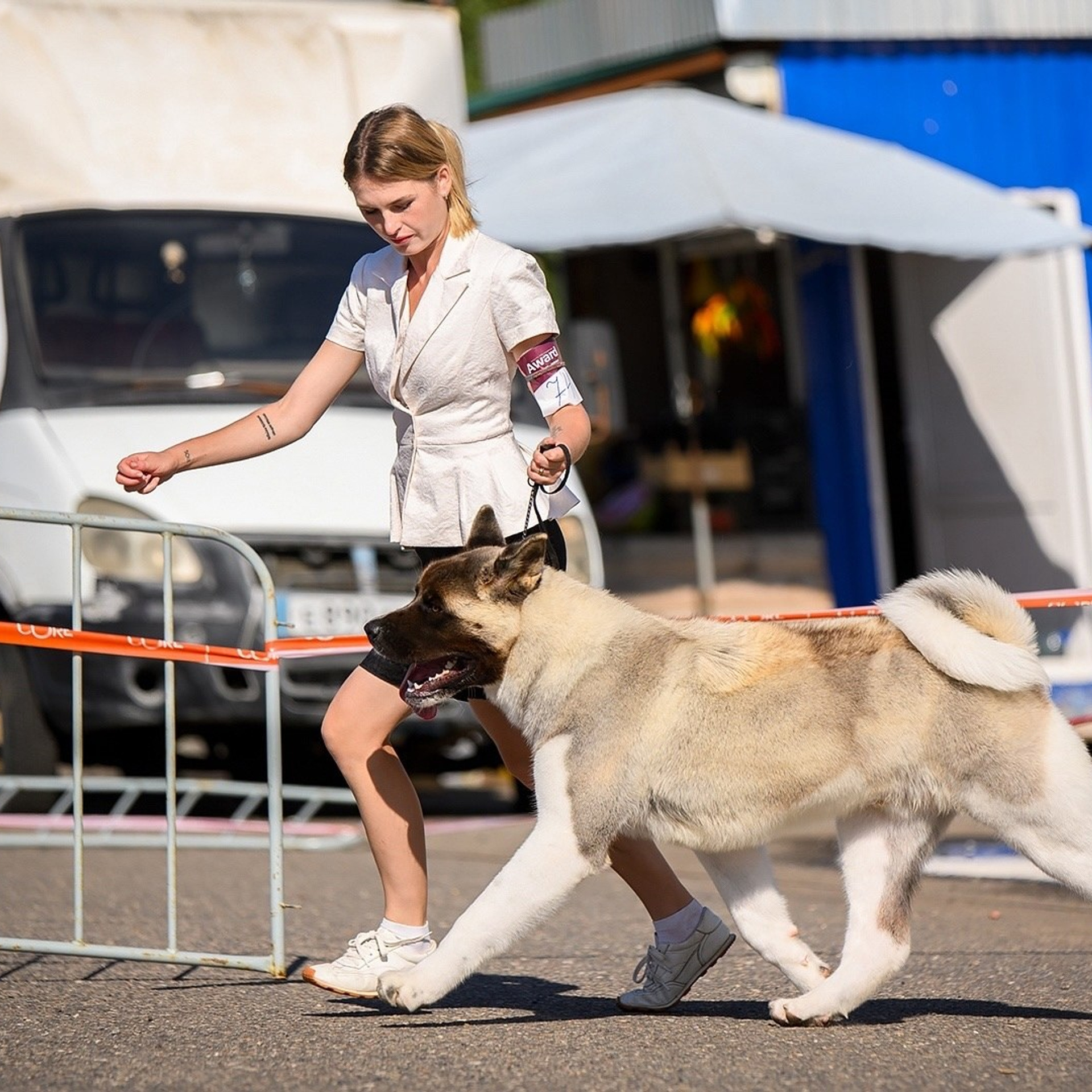 2024. SHIOMARU Shiba and Akita Inu Kennel