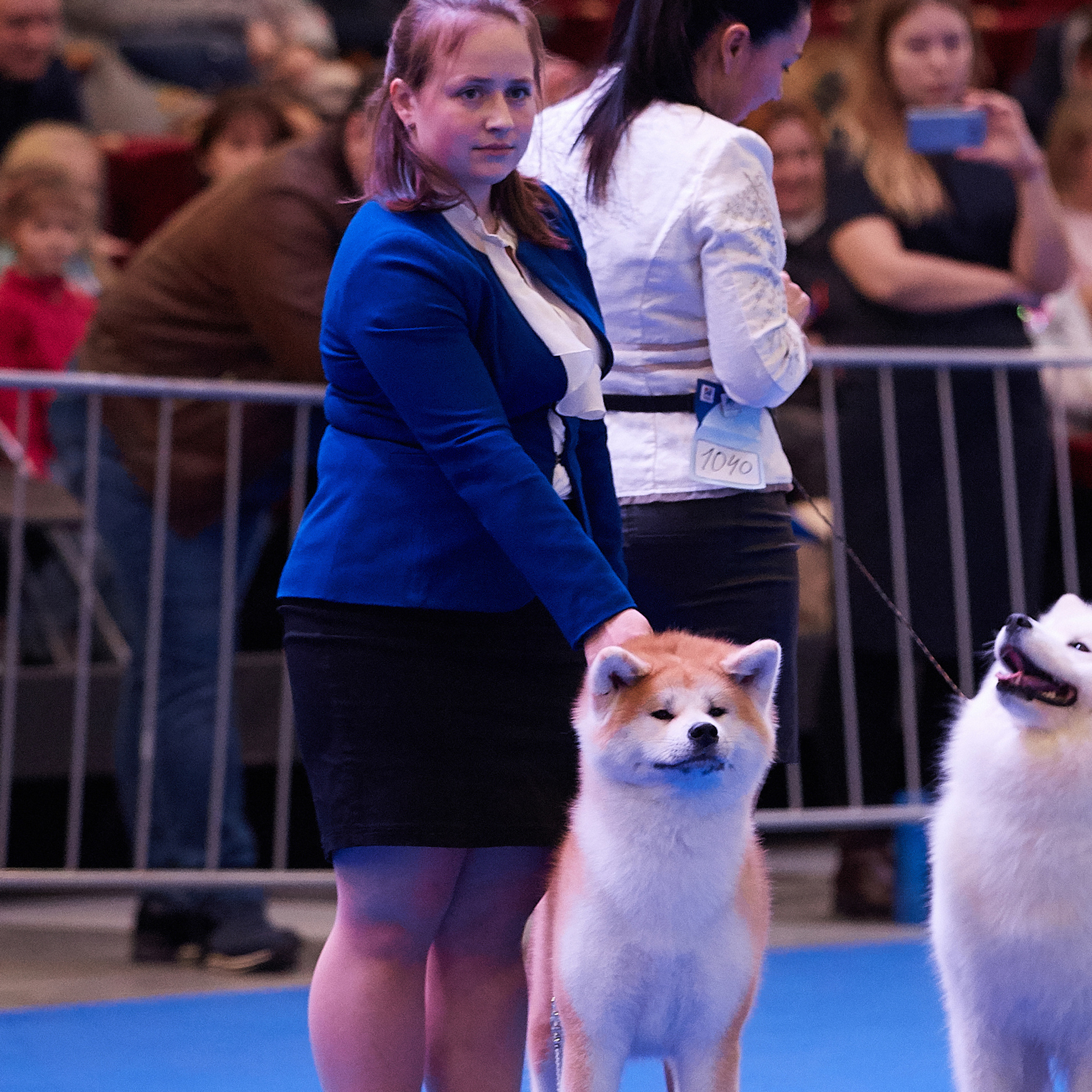 Выпускники питомника. SHIOMARU Питомник сиба и акита-ину