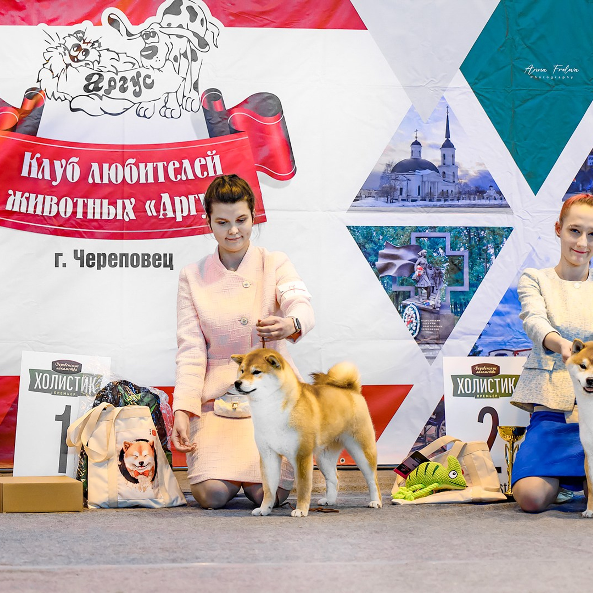 2024. SHIOMARU Shiba and Akita Inu Kennel