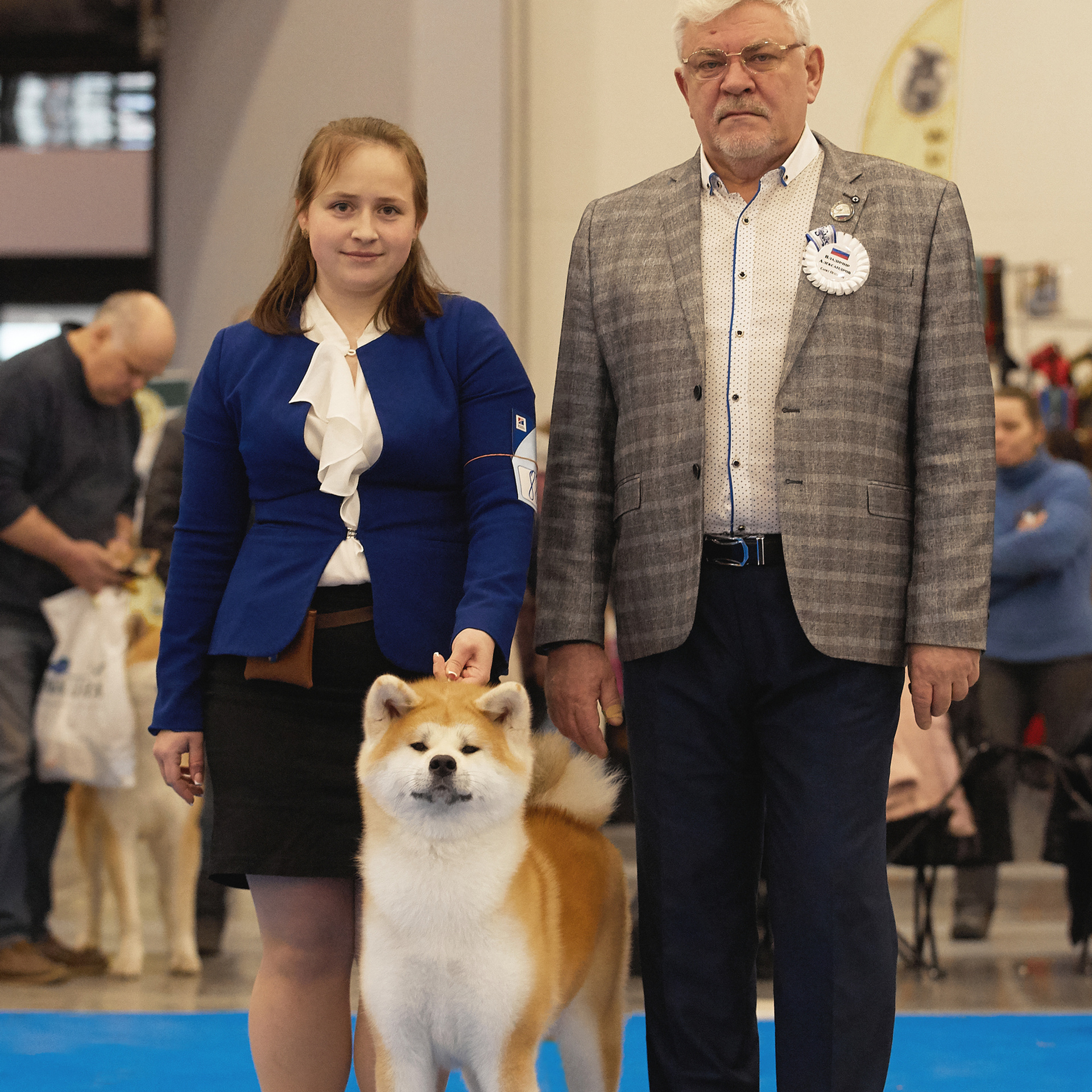 Выпускники питомника. SHIOMARU Питомник сиба и акита-ину