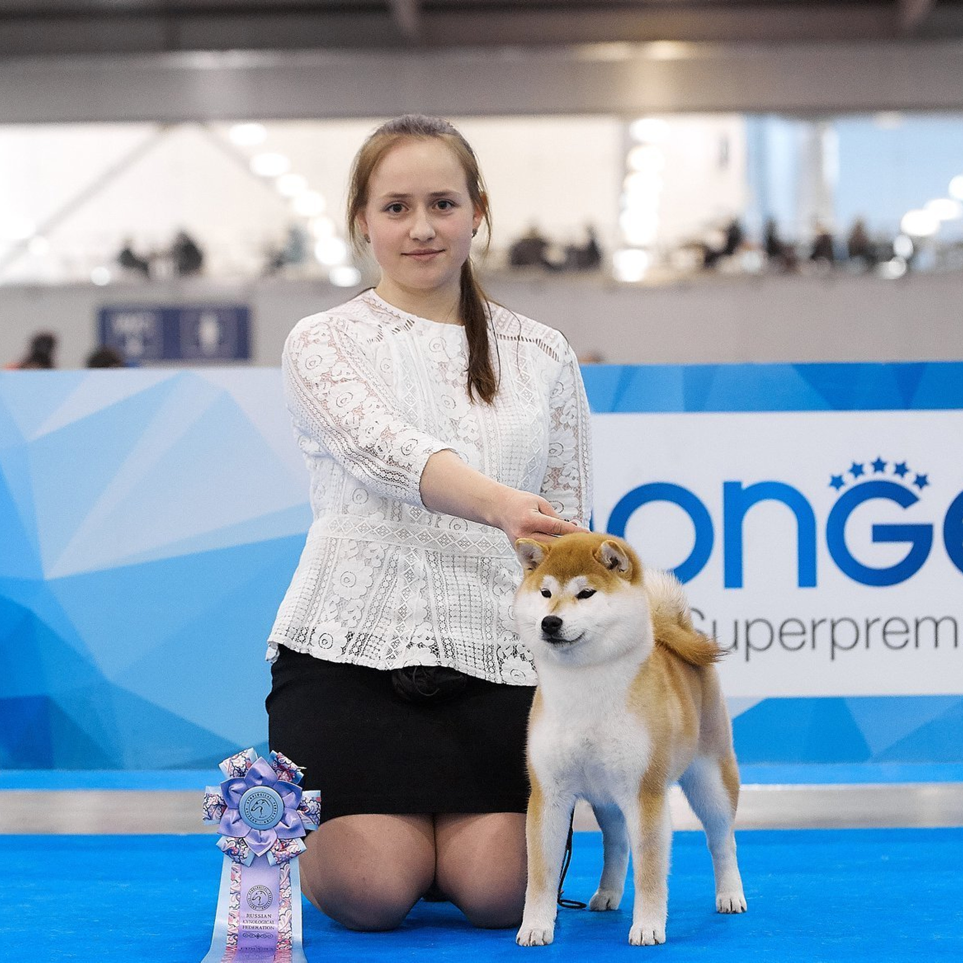 2019. SHIOMARU Shiba and Akita Inu Kennel