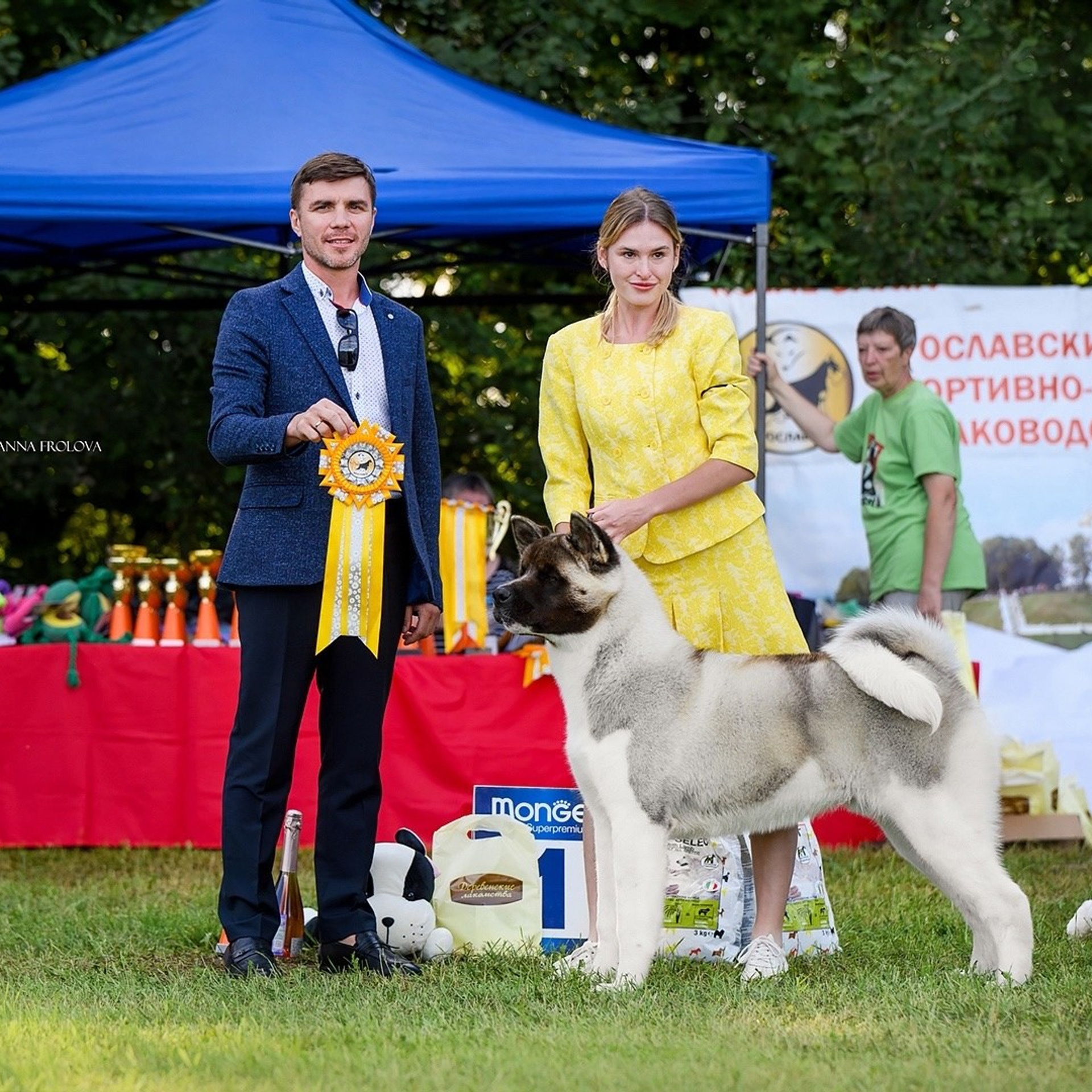2024. SHIOMARU Shiba and Akita Inu Kennel