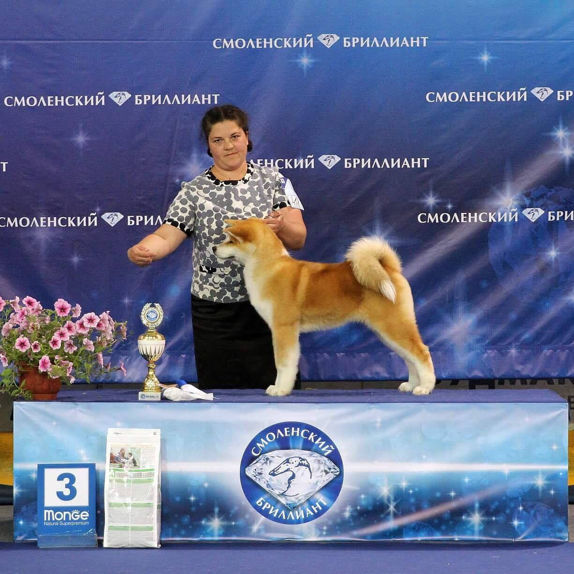 SHIOMARU KOHANA. SHIOMARU Shiba and Akita Inu Kennel