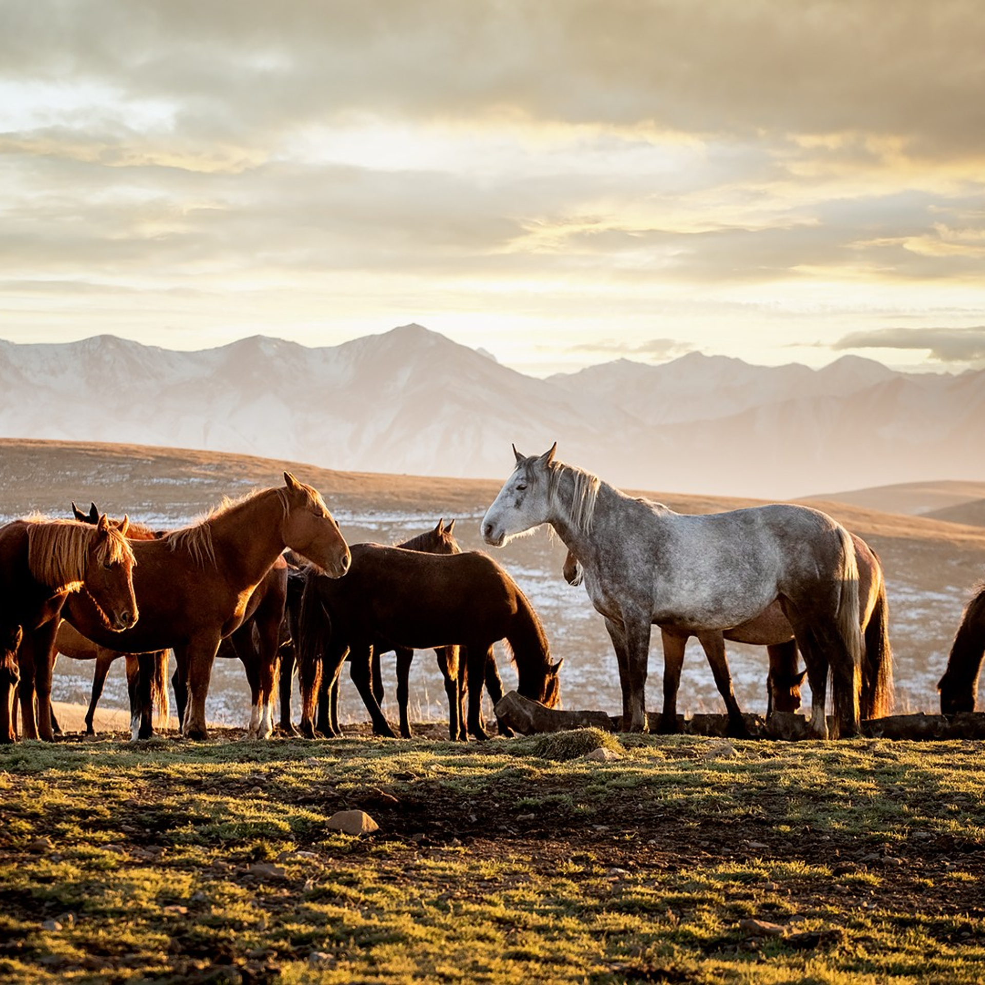 Карачаево-Черкесия '23