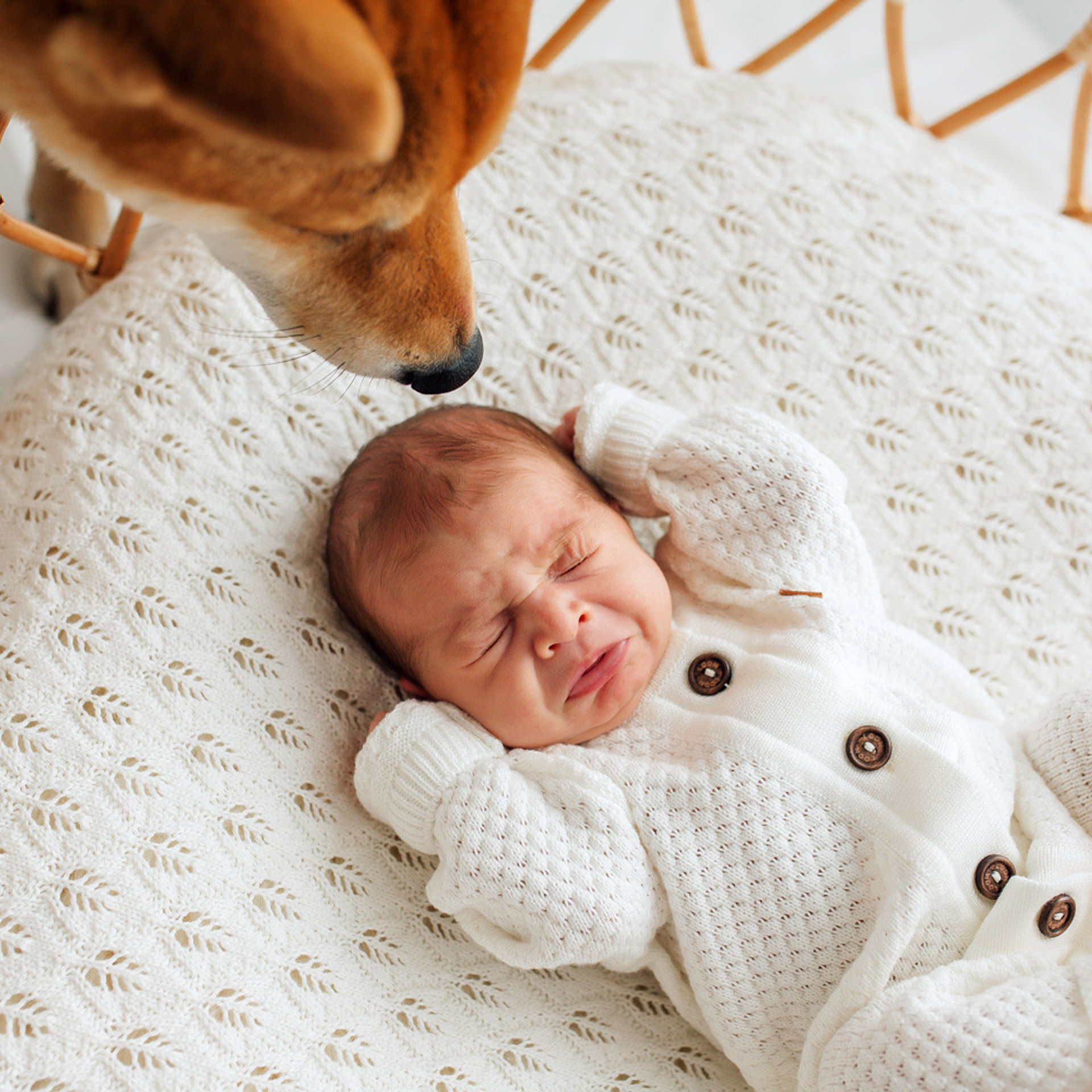 Марфа LIFE студийная съемка