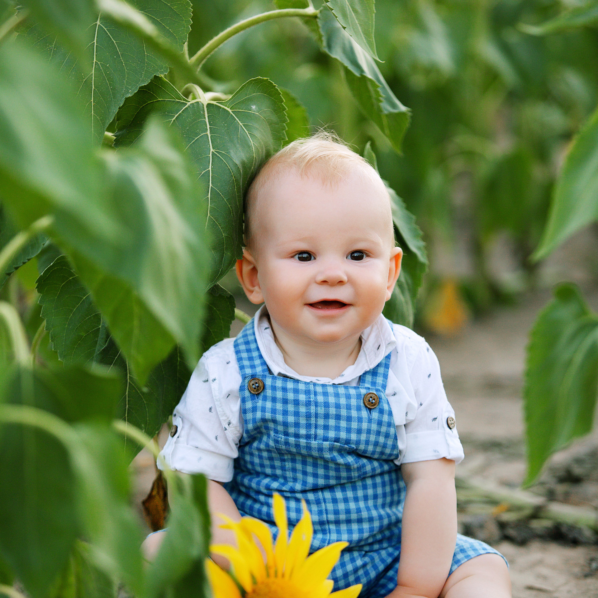ПАШЕНЬКЕ год мини фотосессия