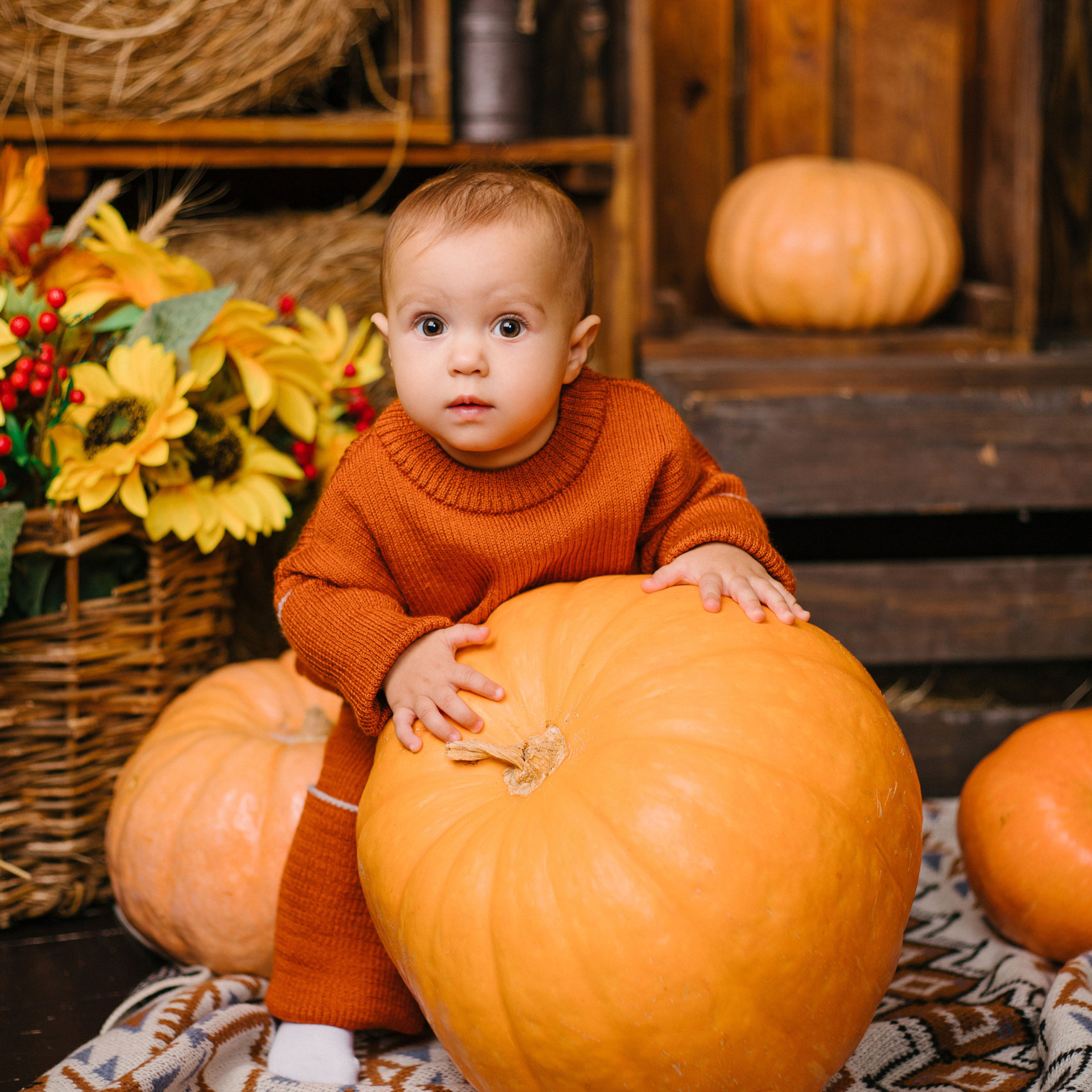 Отзывы. Свадебный фотограф Москва Воронеж Ленкова Ксения