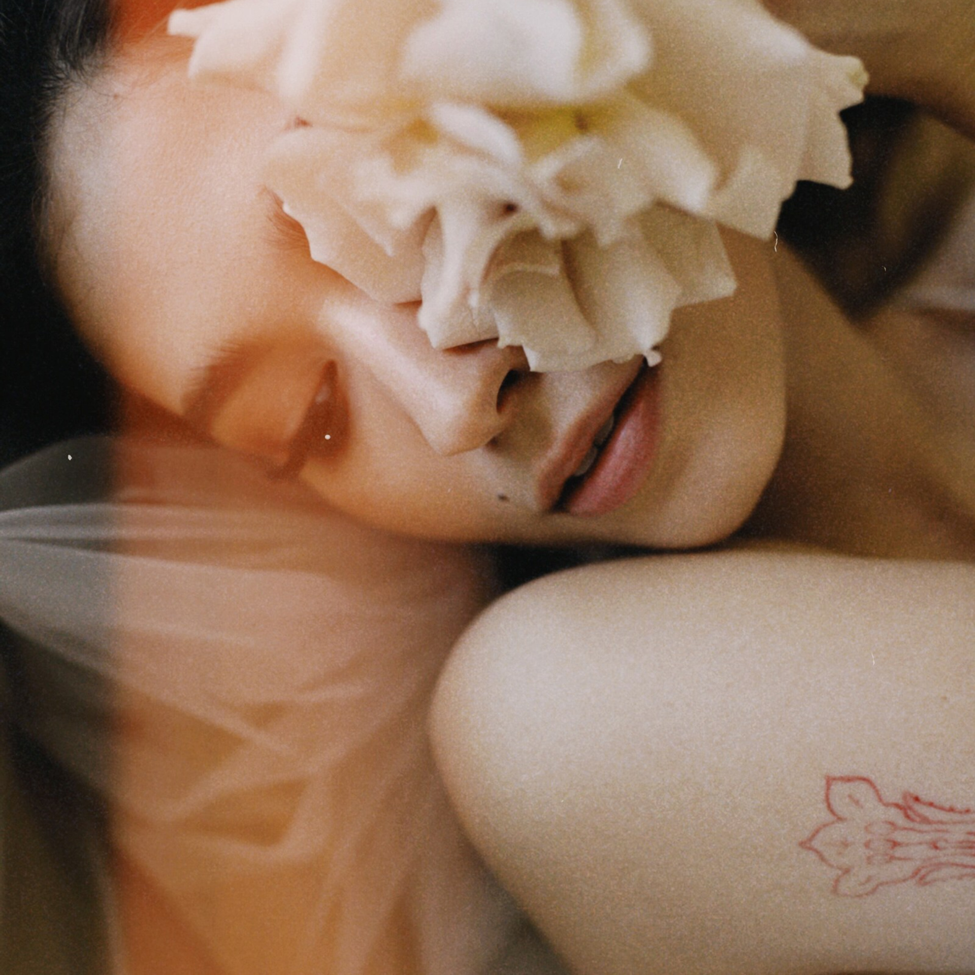 Анастасия (утро невесты)