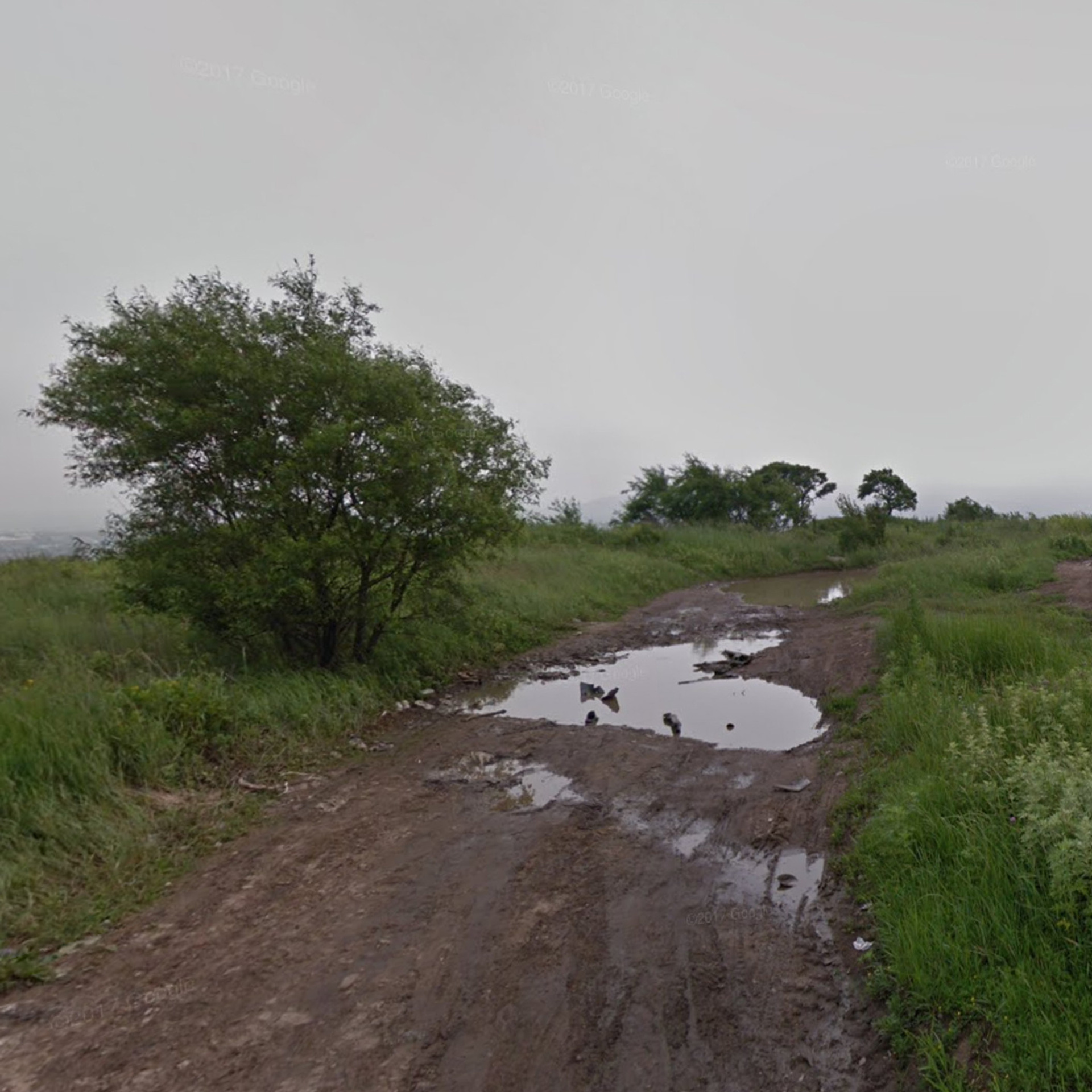 Virtual Dead Ends (2021). Ksenia Inverse visual artist