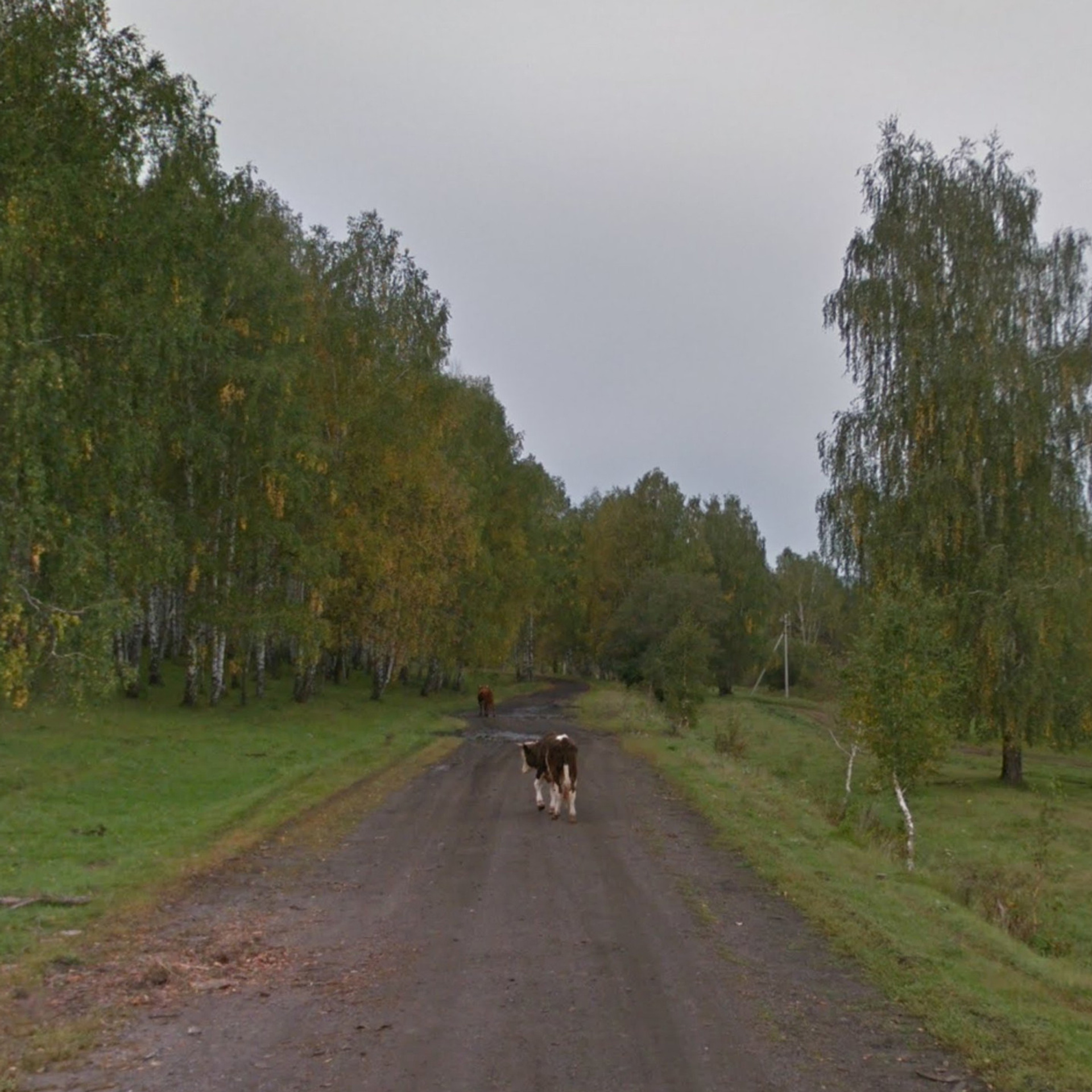 Virtual Dead Ends (2021). Ksenia Inverse visual artist