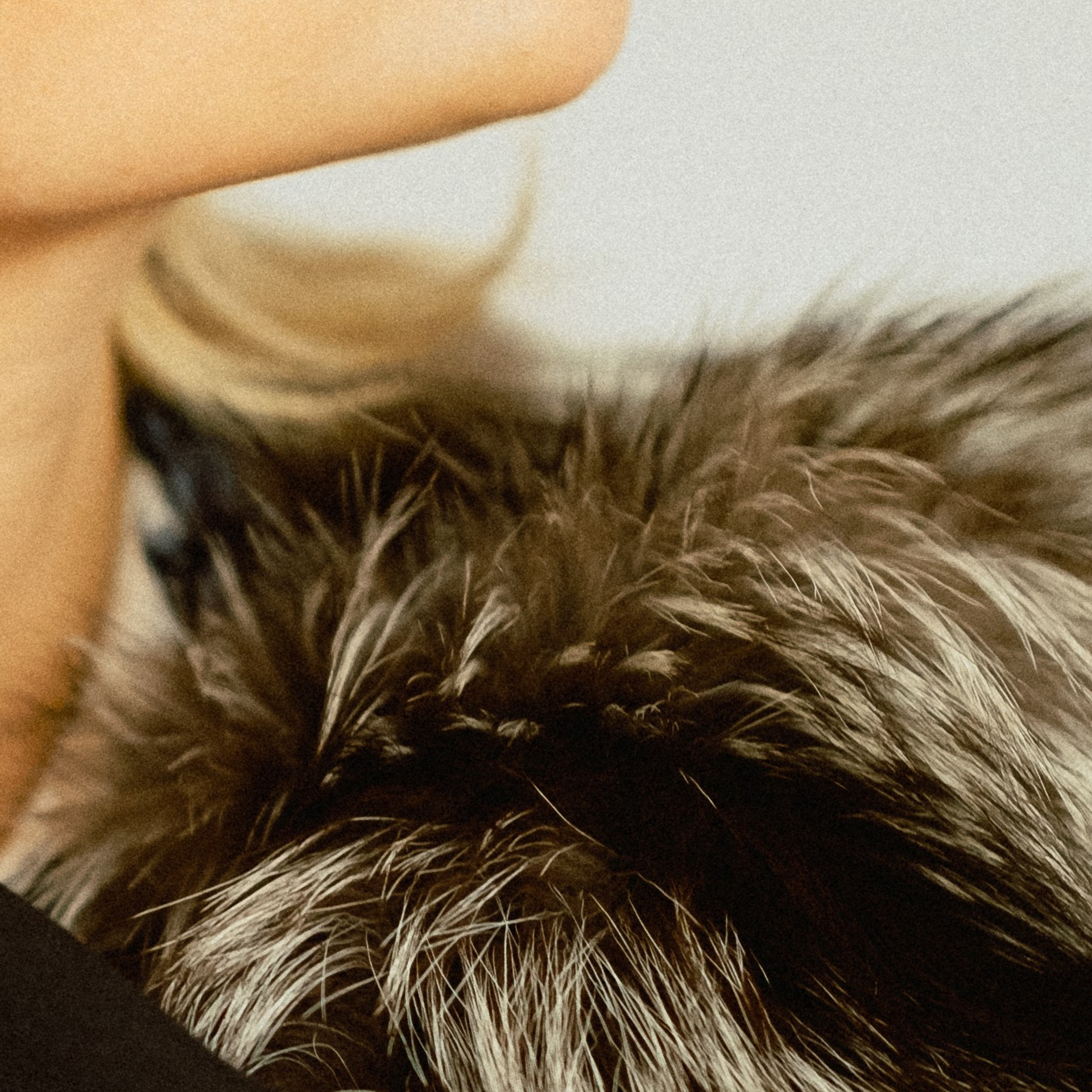 Sasha. Anastasia N | Фотограф Челябинск