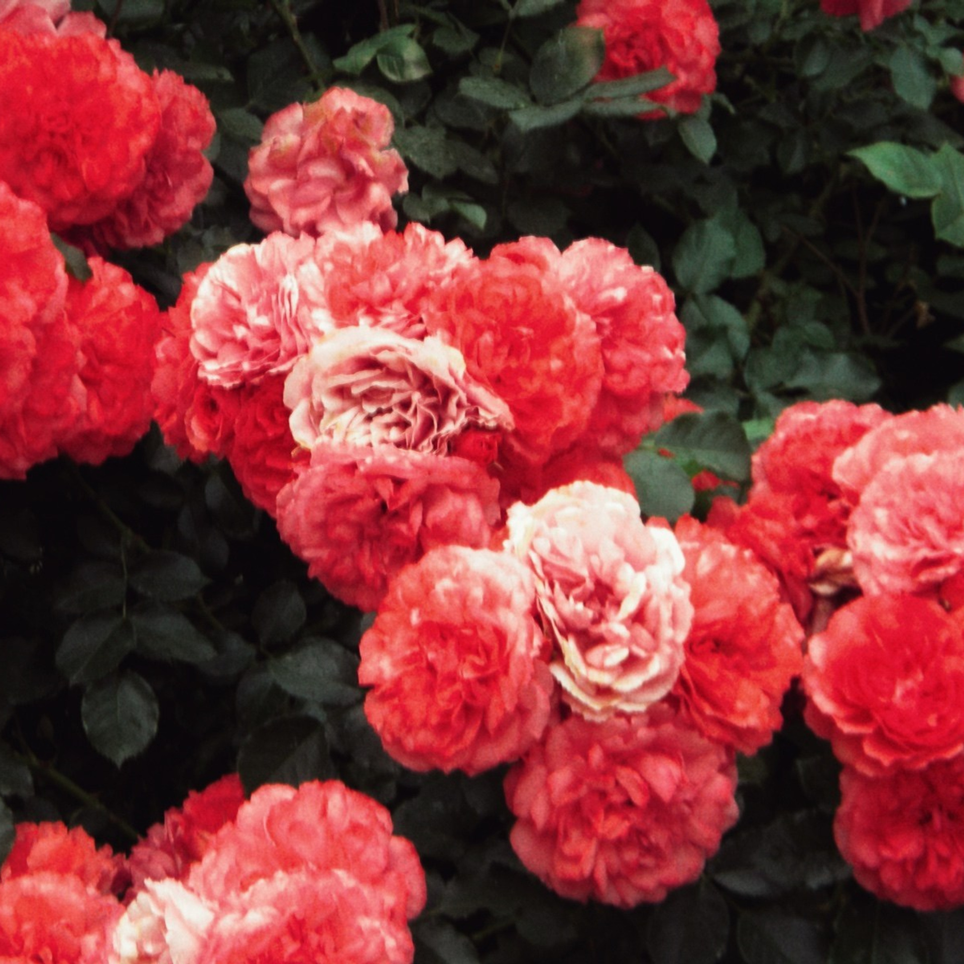 Вдохновение вокруг