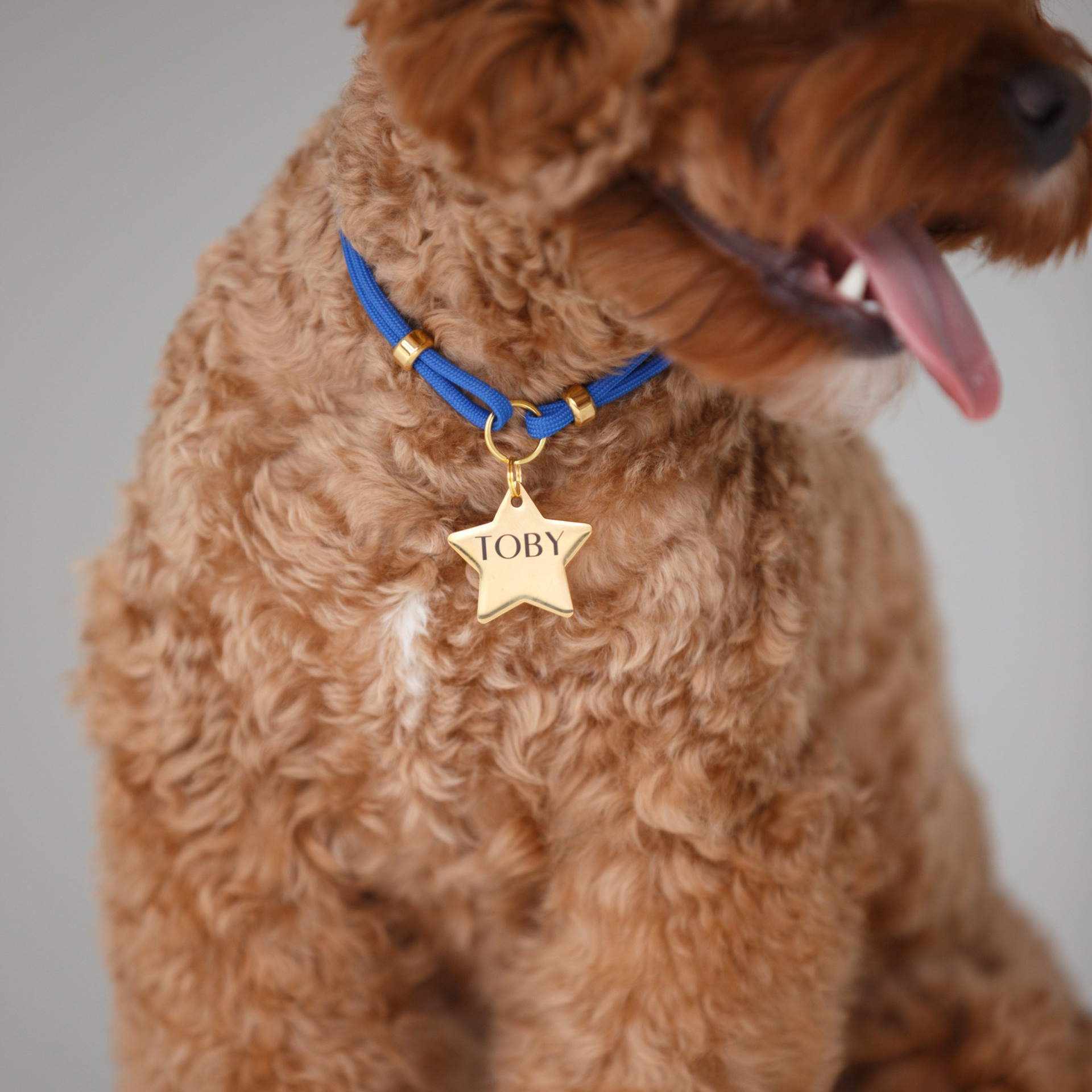 Отзывы. Фотограф анималист Кристина Карпова, Москва