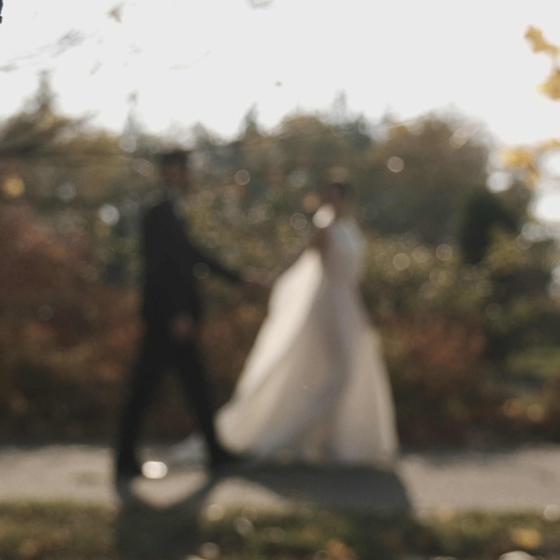 Свадьба Белгород видеосъемка Белгород видеограф Белгород видеооператор. Видеосъемка|репортаж, клипы, документальное, видео для бизнеса!