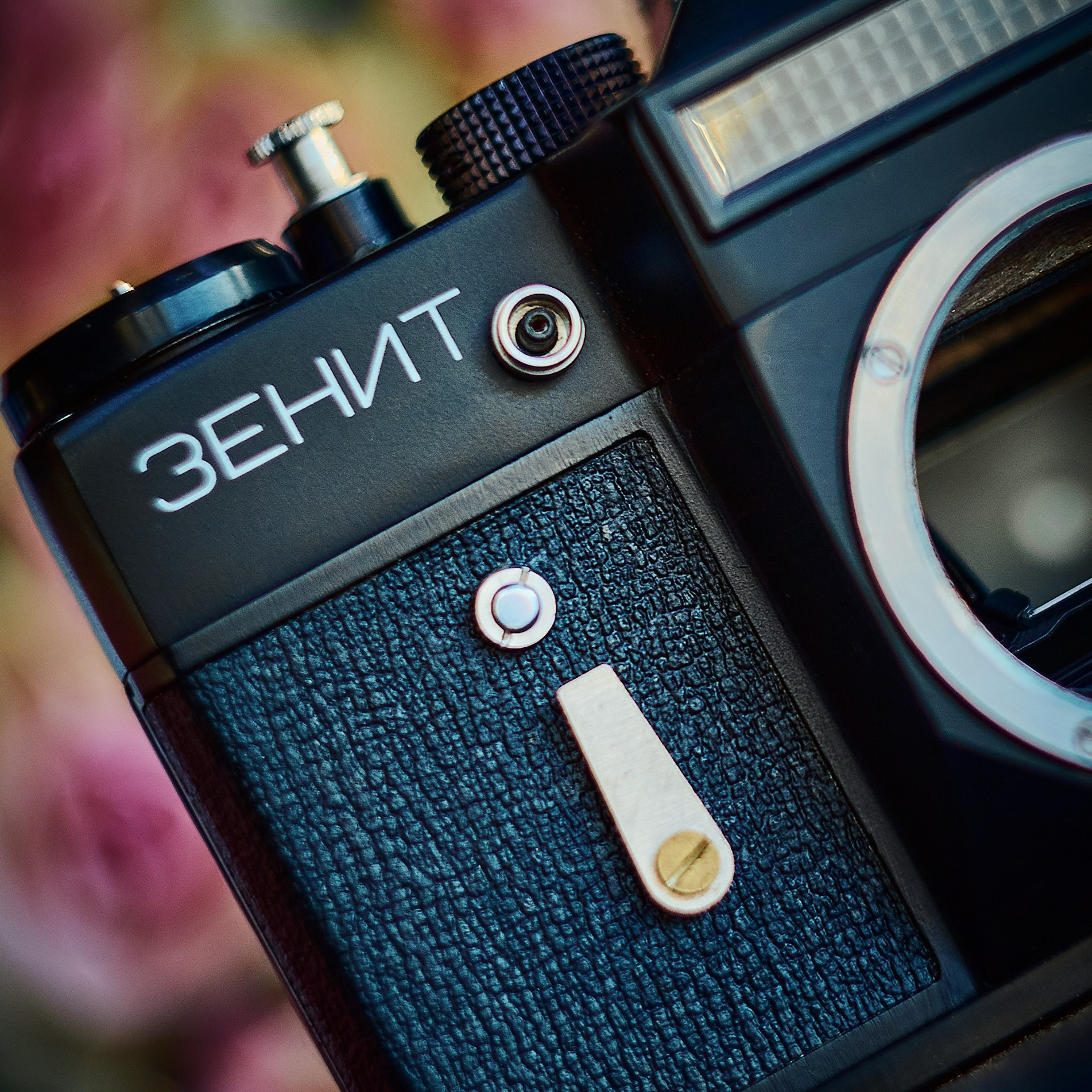 Пленочная фотография в Москве