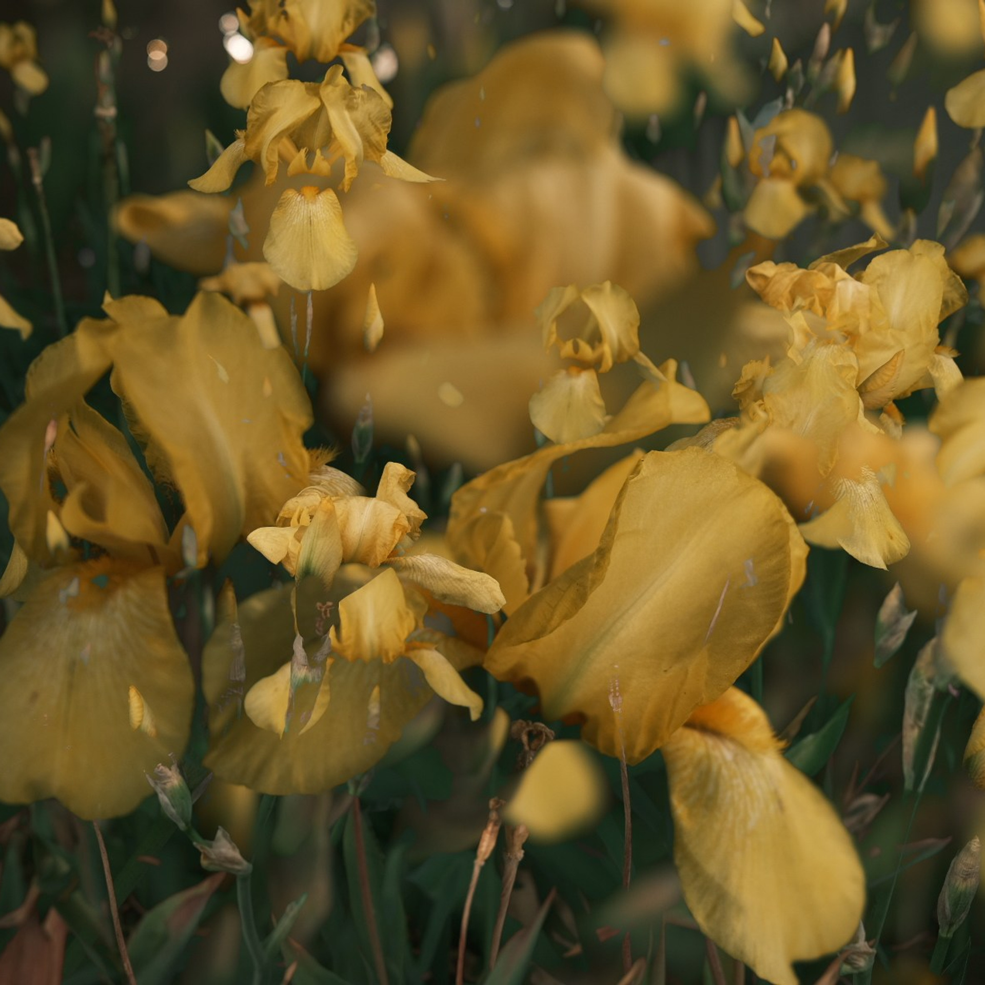 Фотограф в Москве Дарья Гоглева