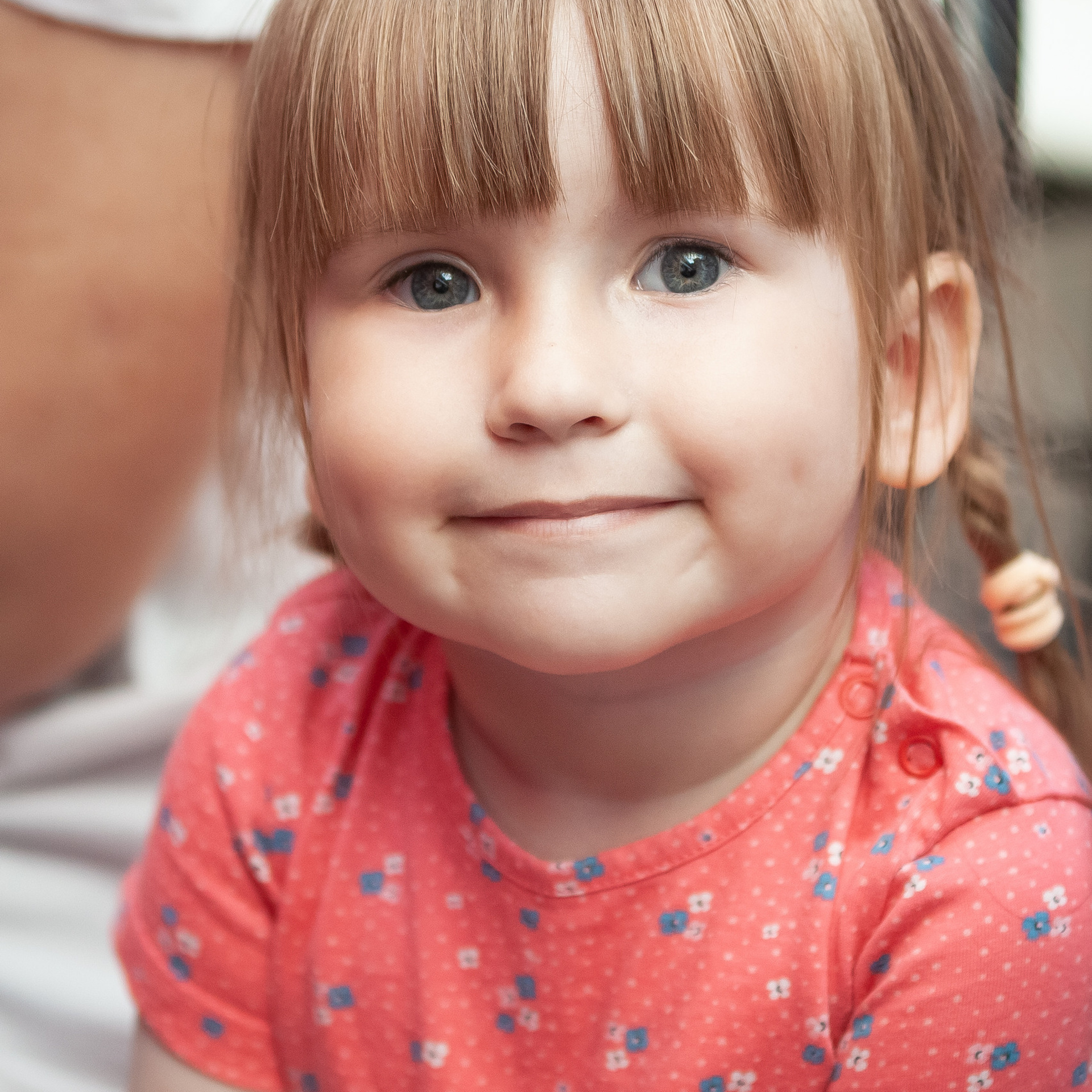 Comments. Фотограф Александр Скрементов (Россия, Москва, Брянск, Орел, Смоленск)