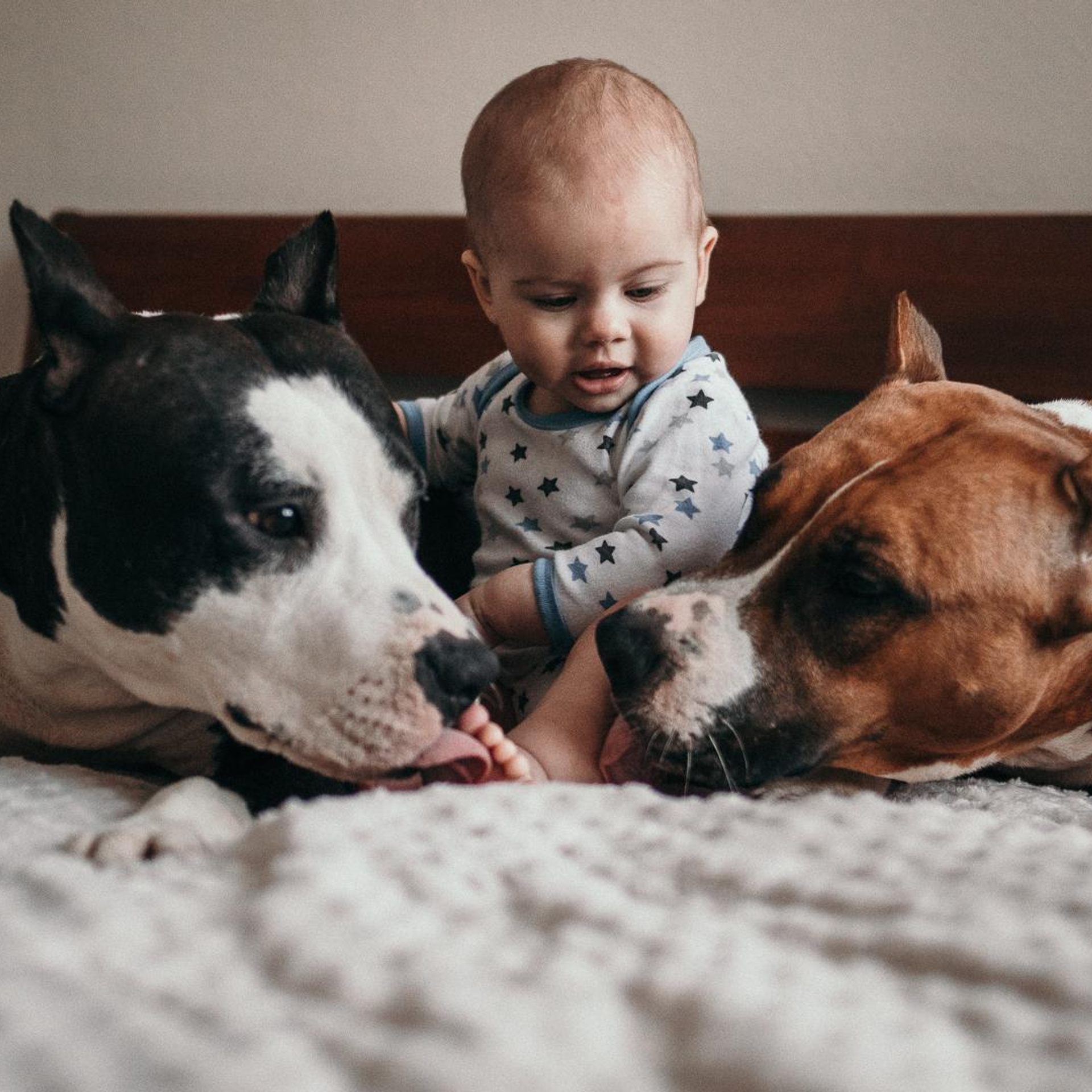 Отзывы о фотографе Наталье Григорьевой. Семейный и детский фотограф в Санкт-Петербурге Наталья Григорьева