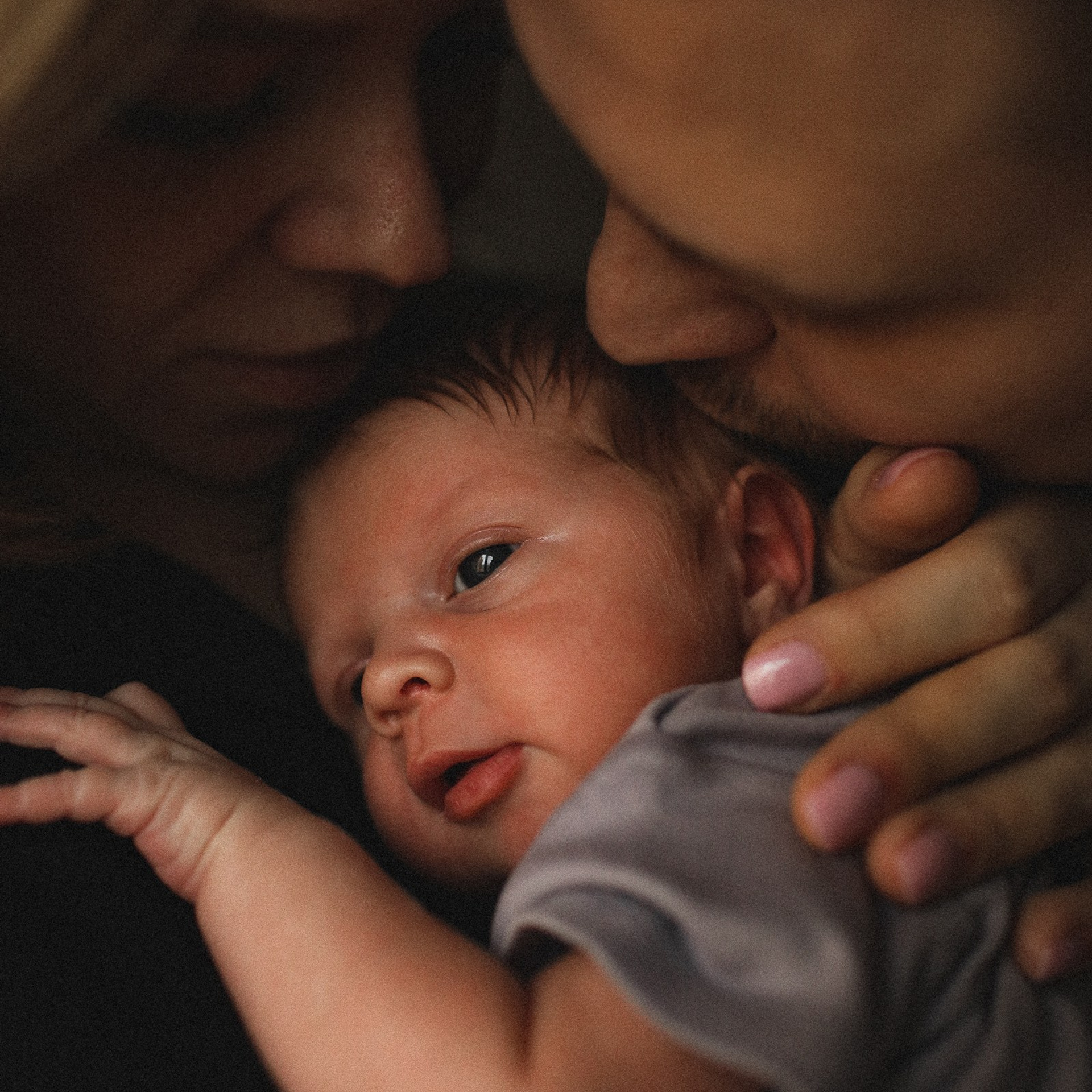 Про Аню, Аркадия, Макса и душку Кекса