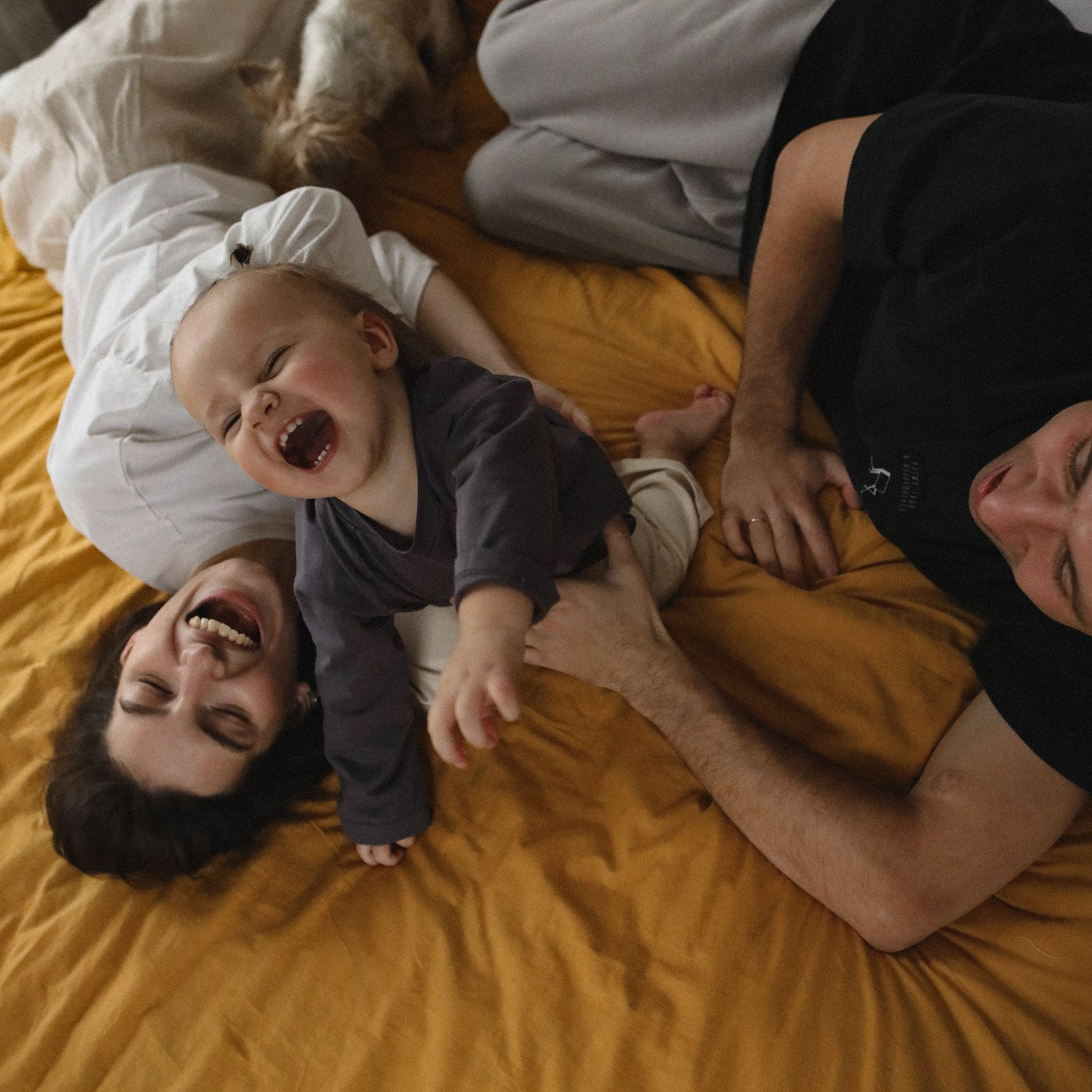 Носики, носики!