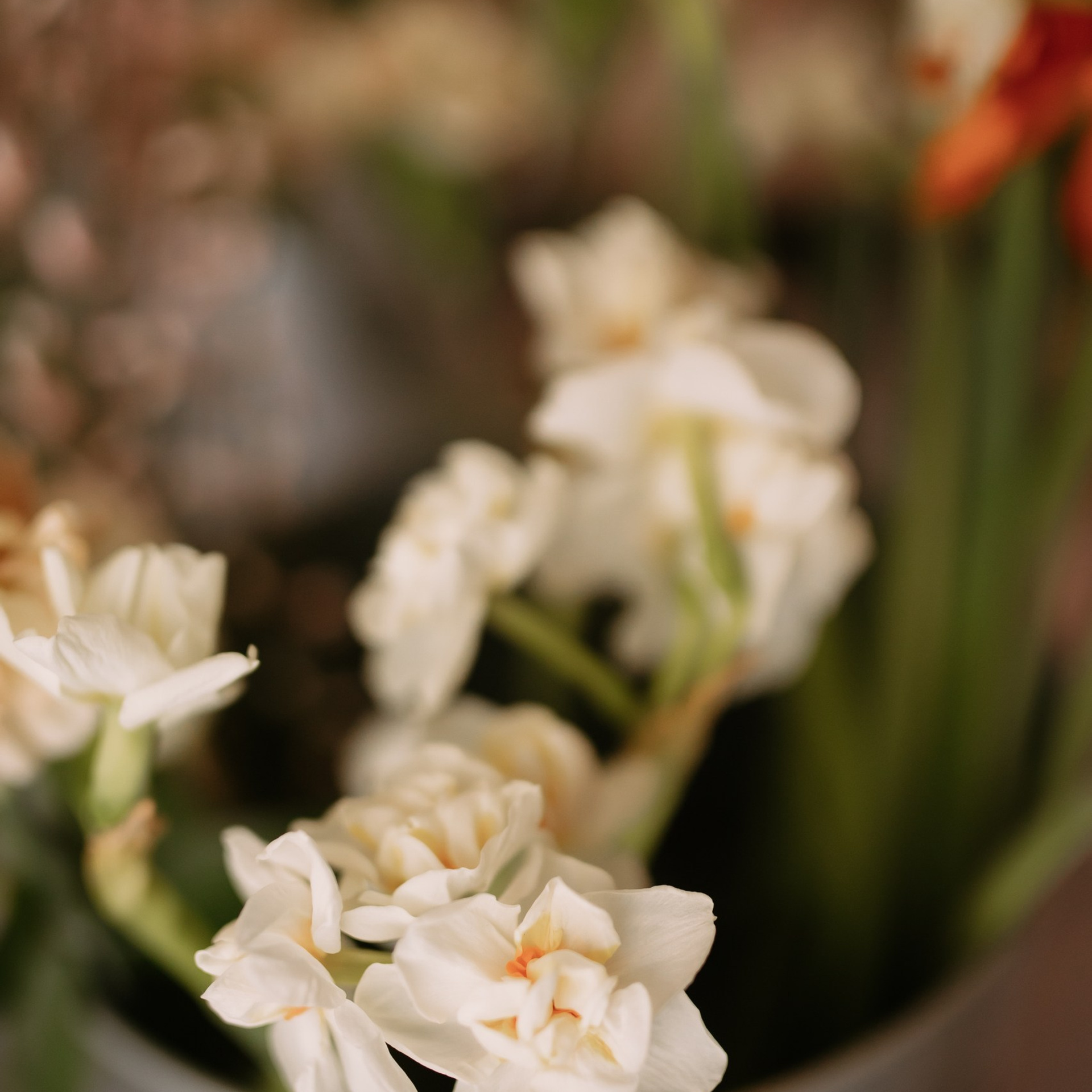 Отзывы. Фотограф Валентина Волкова. Москва, Апрелевка, Переделкино