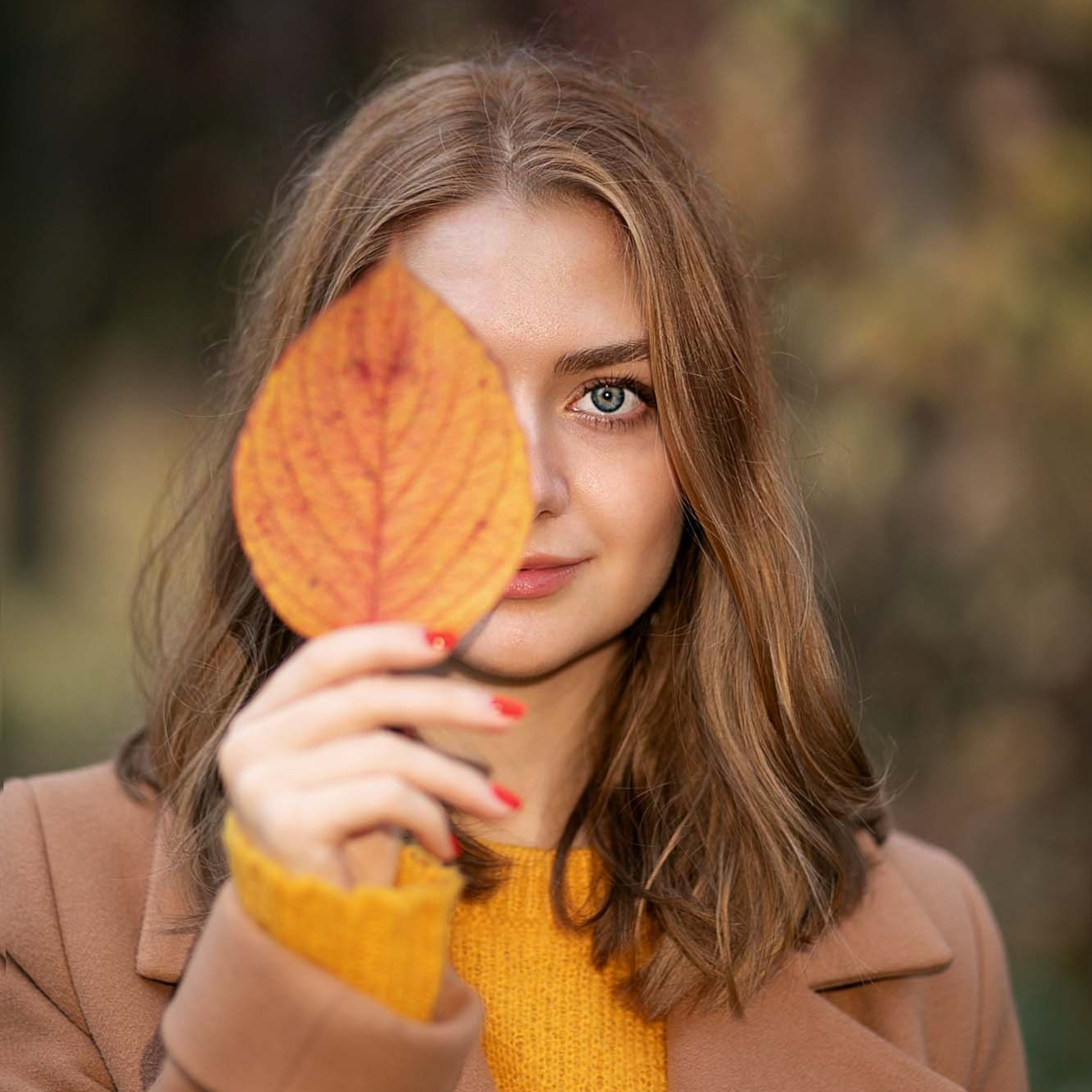 Маргарита осень